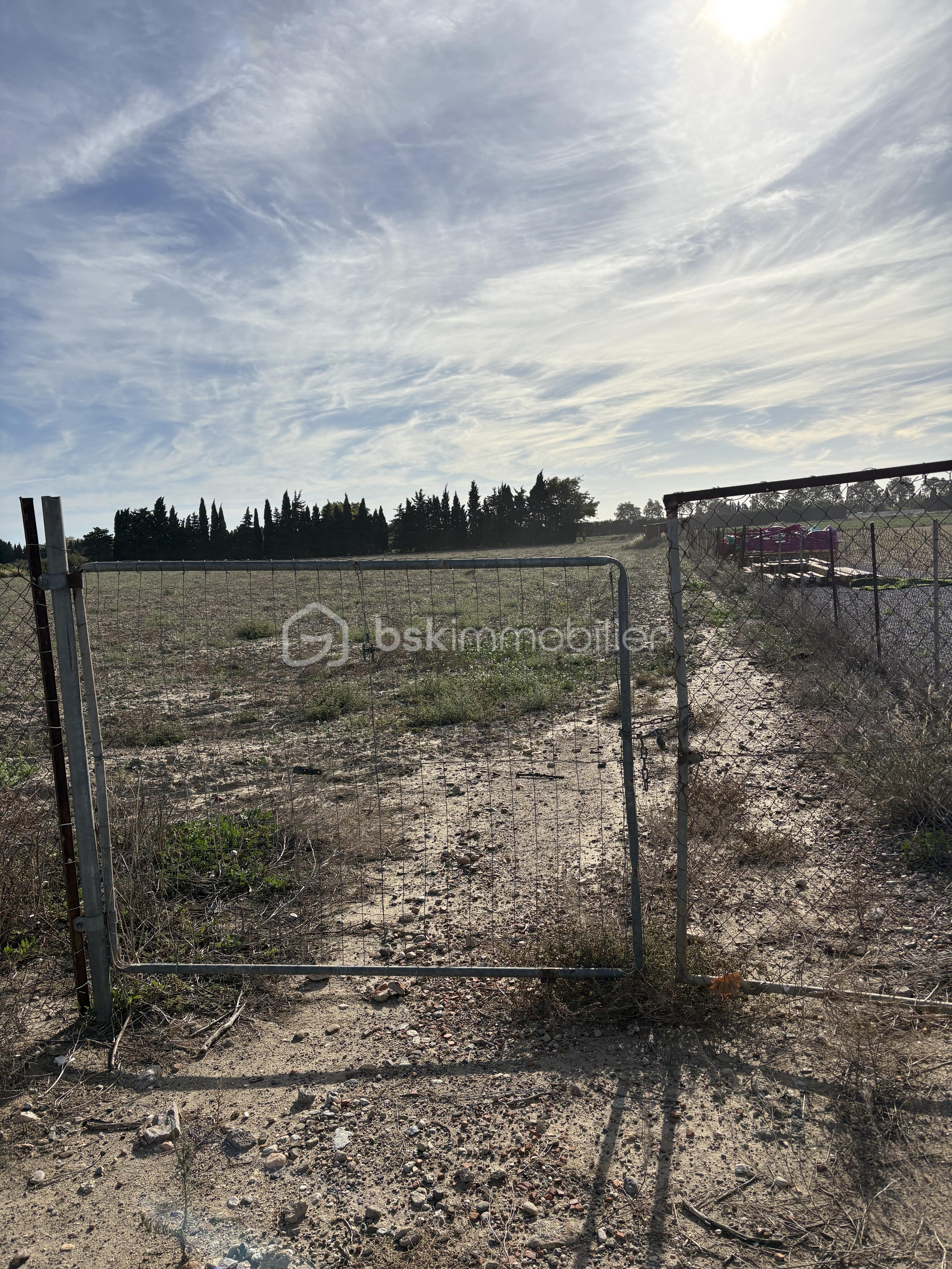 Terrain de 15 000 m² - IMG_7822.jpg