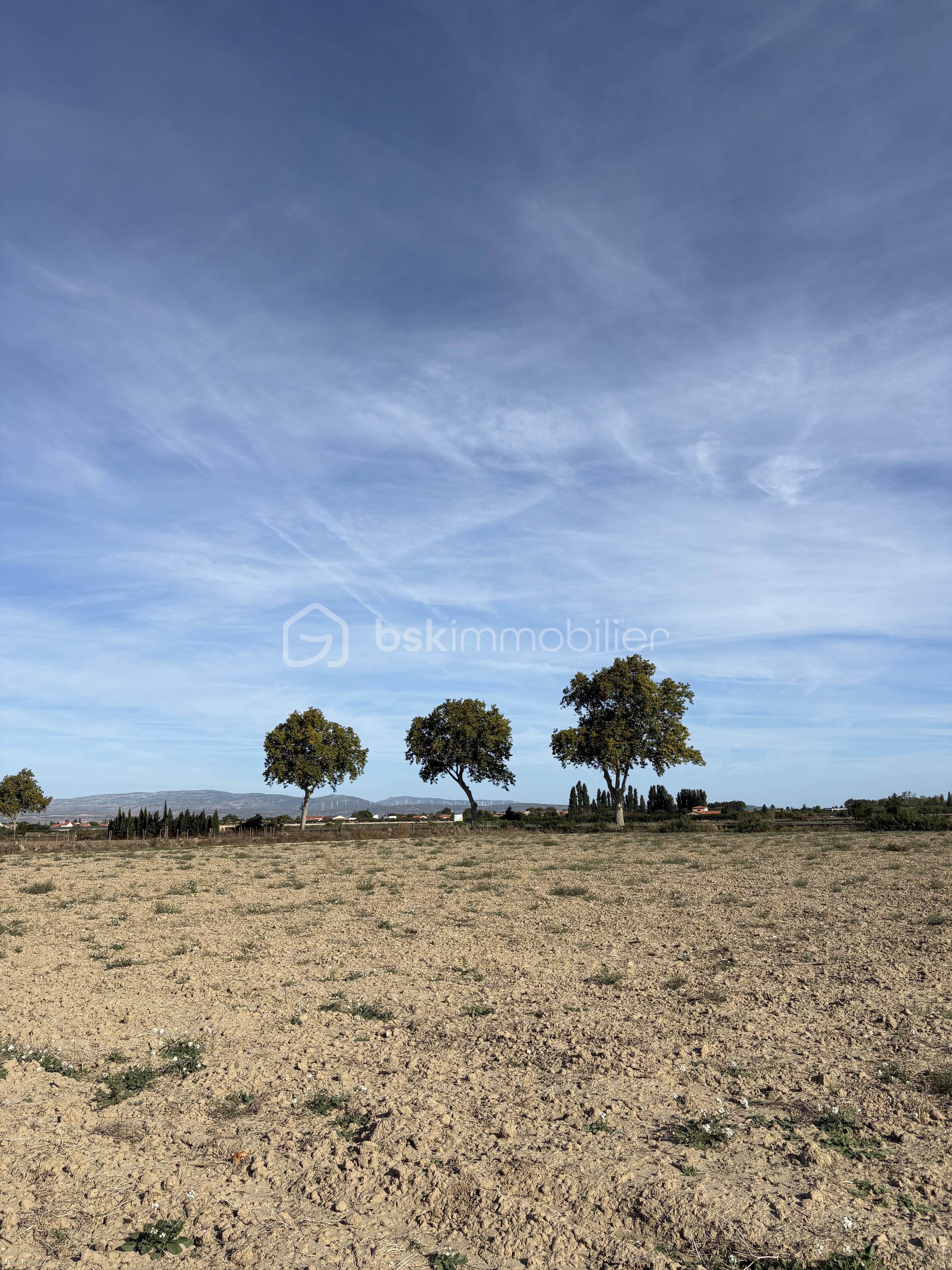 Terrain de 15 000 m² - IMG_7827.jpg