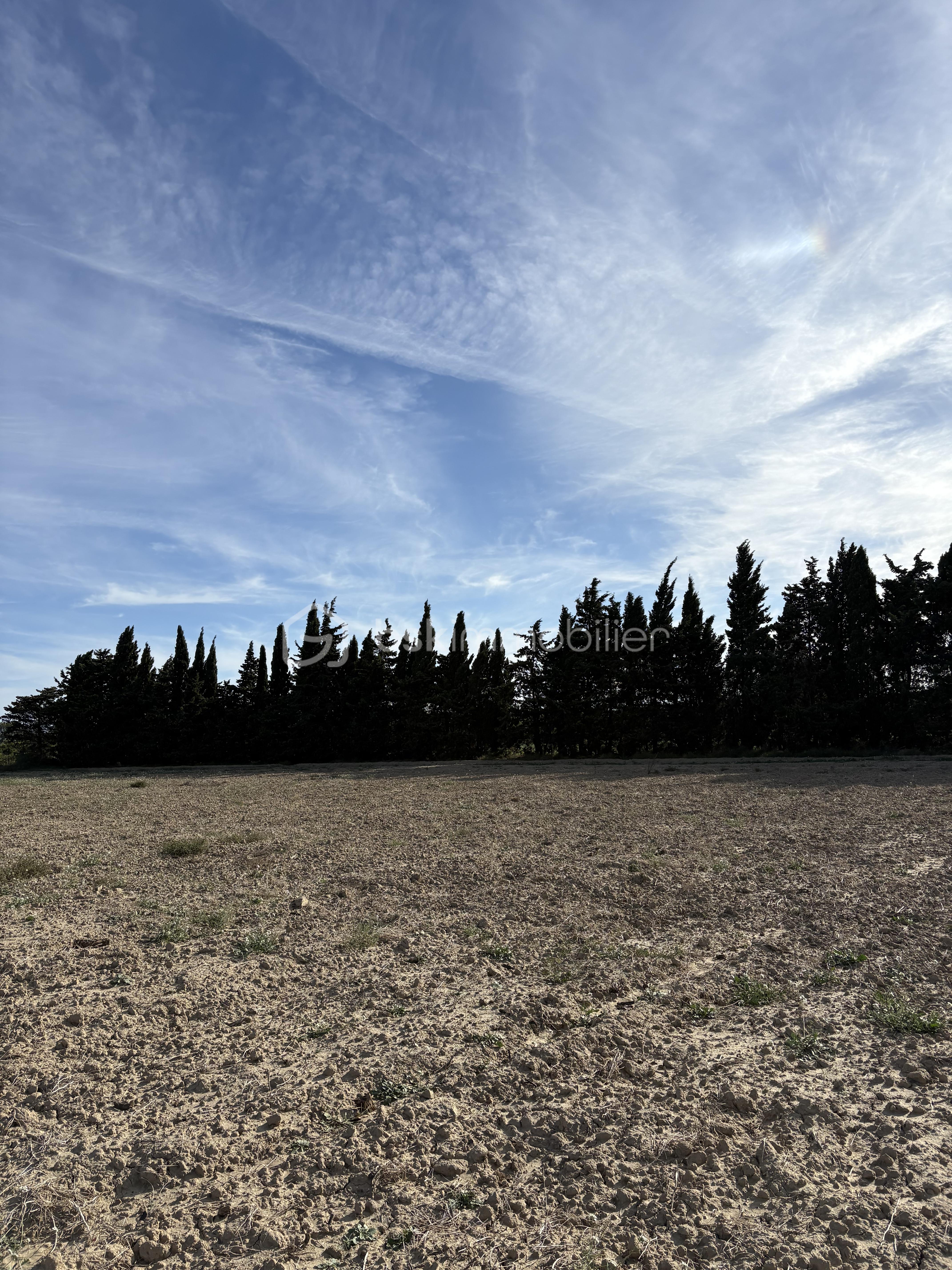 Terrain de 15 000 m² - IMG_7828.jpg