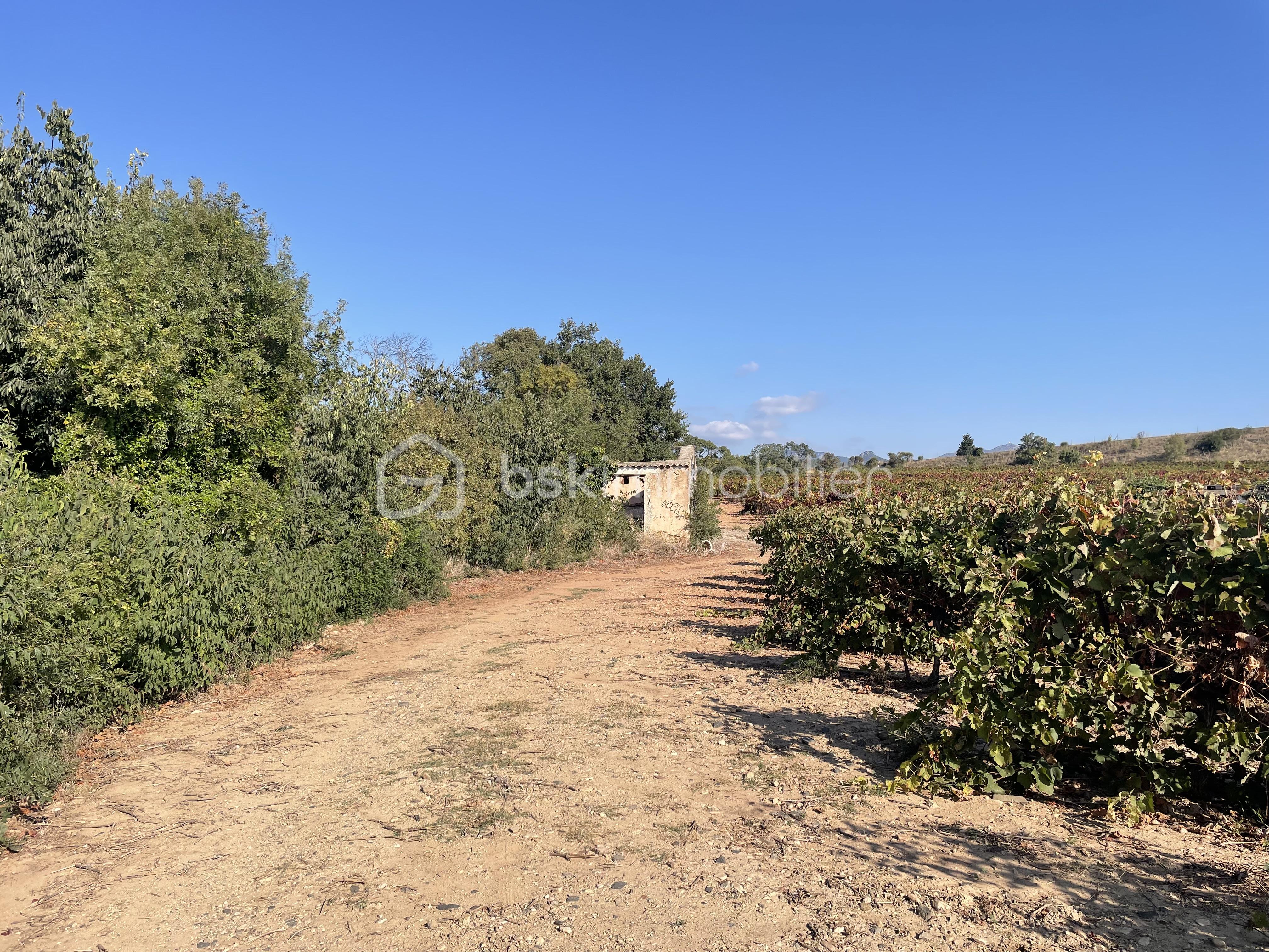 Terrain agricole de 45 000 m² Terrain agricole de 45 000 m²