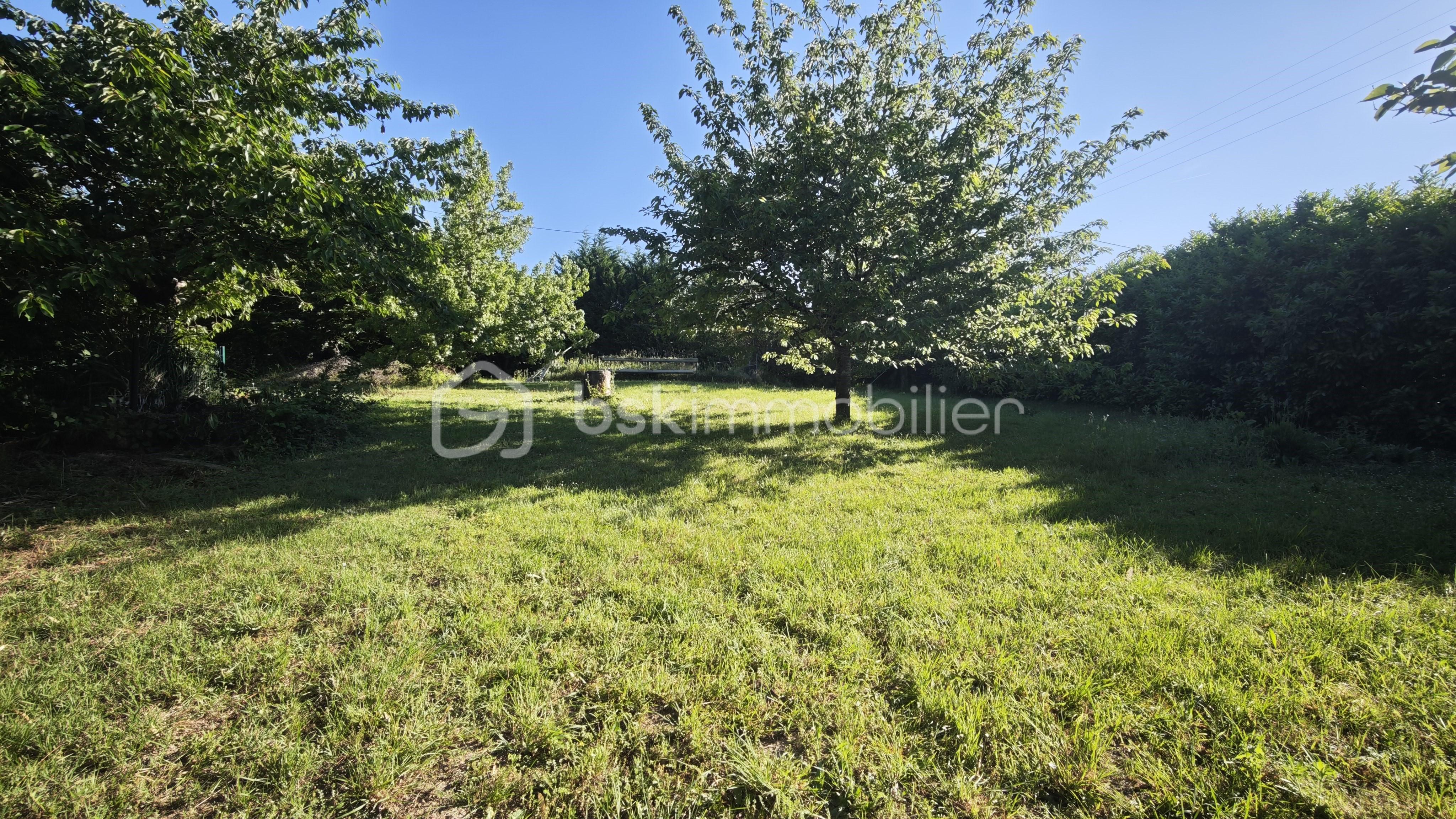 terrain_montrabe_lemesle_constructible_bsk.jpg