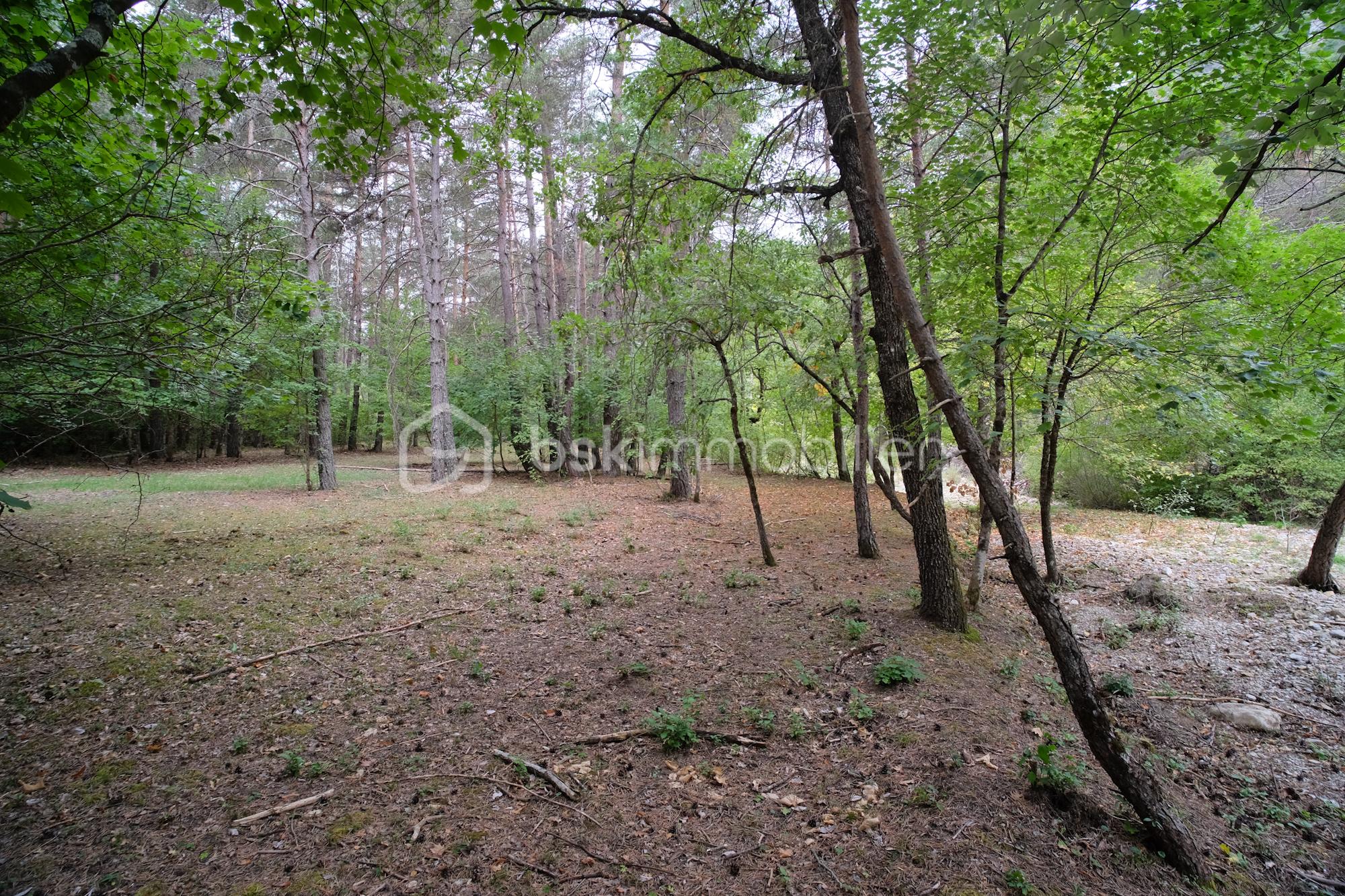 Chalet de 70 m² - Chalet_Ort_LeMas-20.jpg