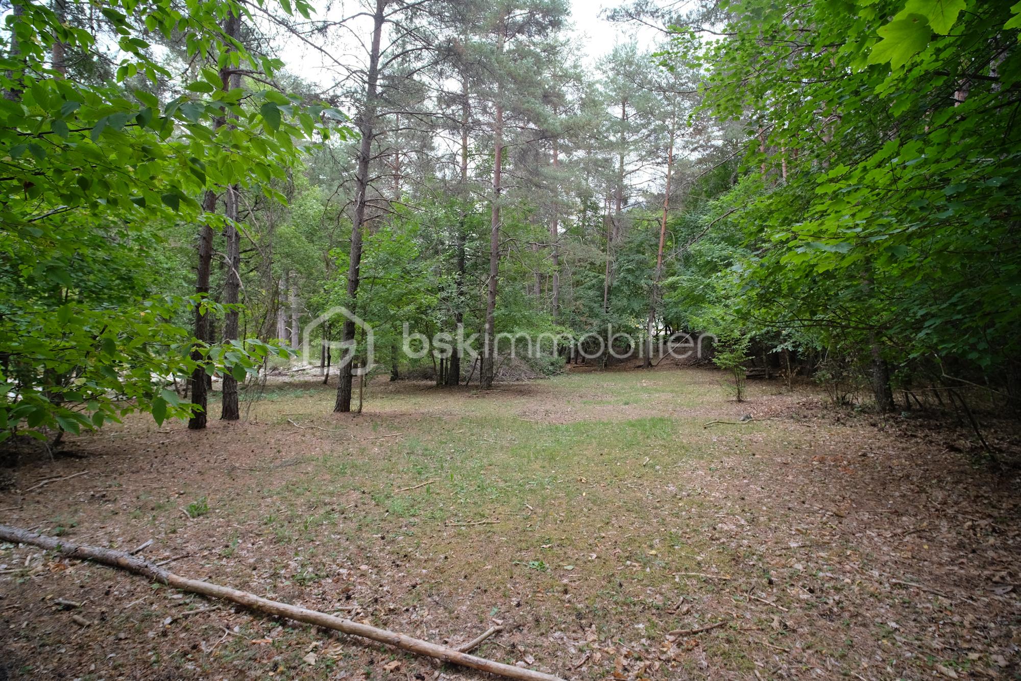 Chalet de 70 m² - Chalet_Ort_LeMas-23.jpg