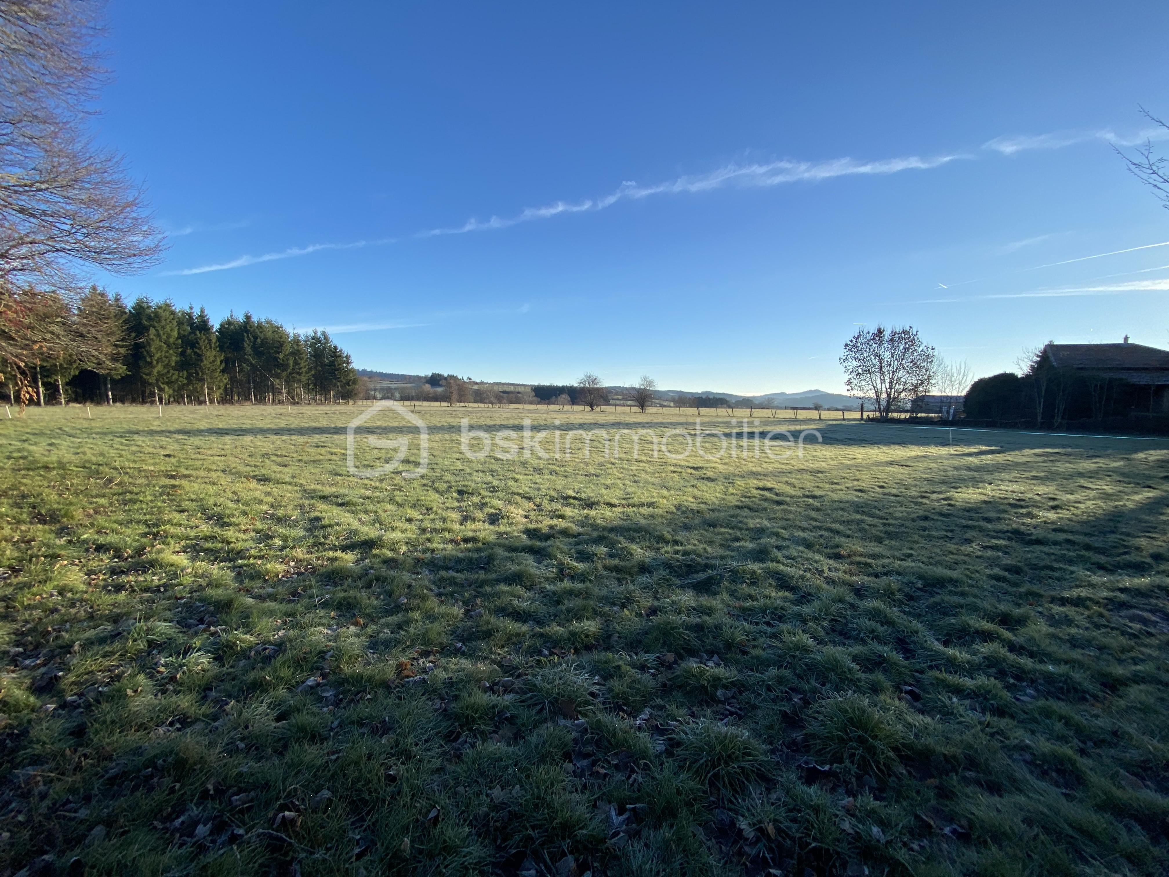 Terrain de 1 600 m² - IMG_4070.JPG