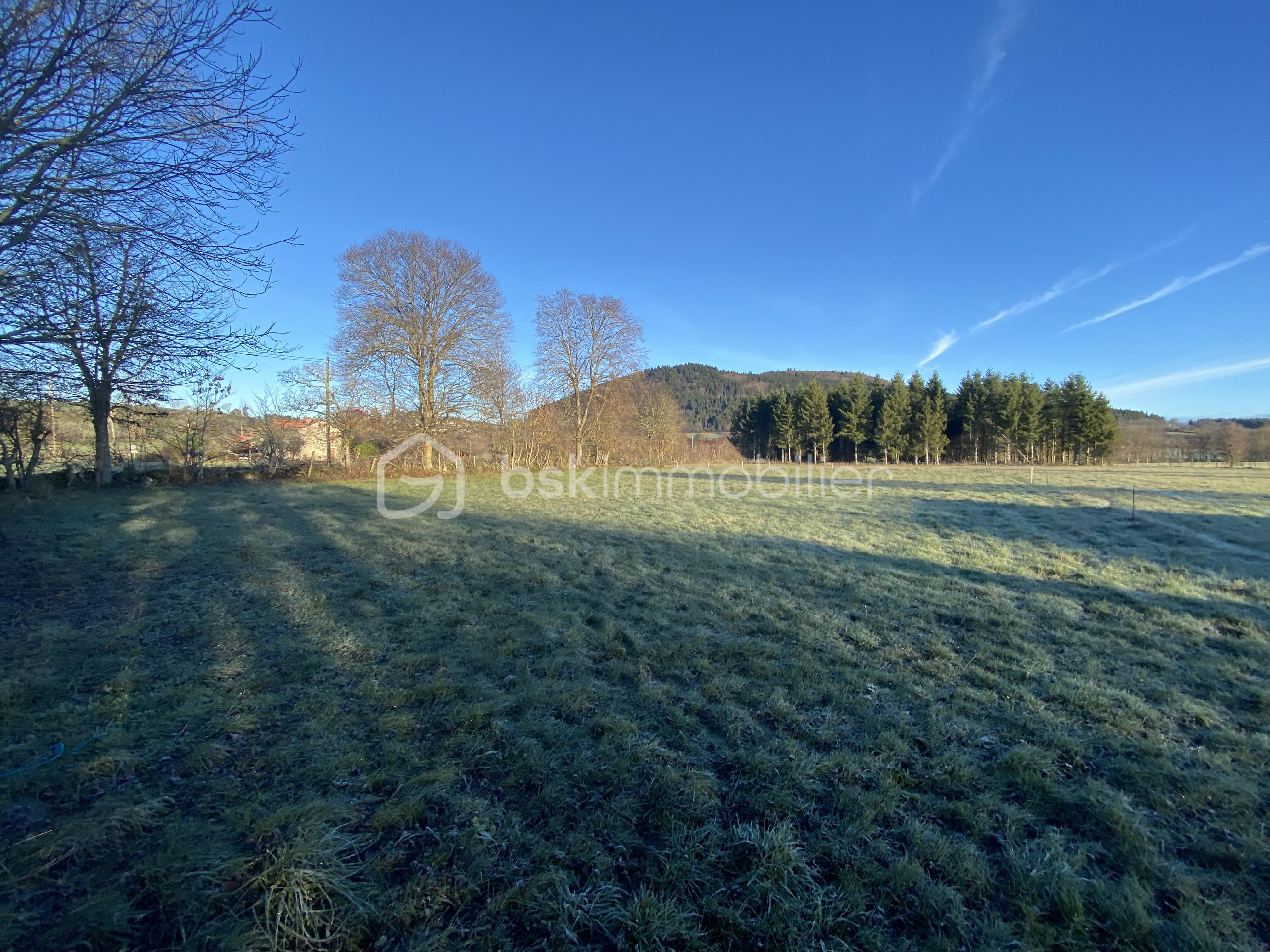 Terrain de 1 600 m²