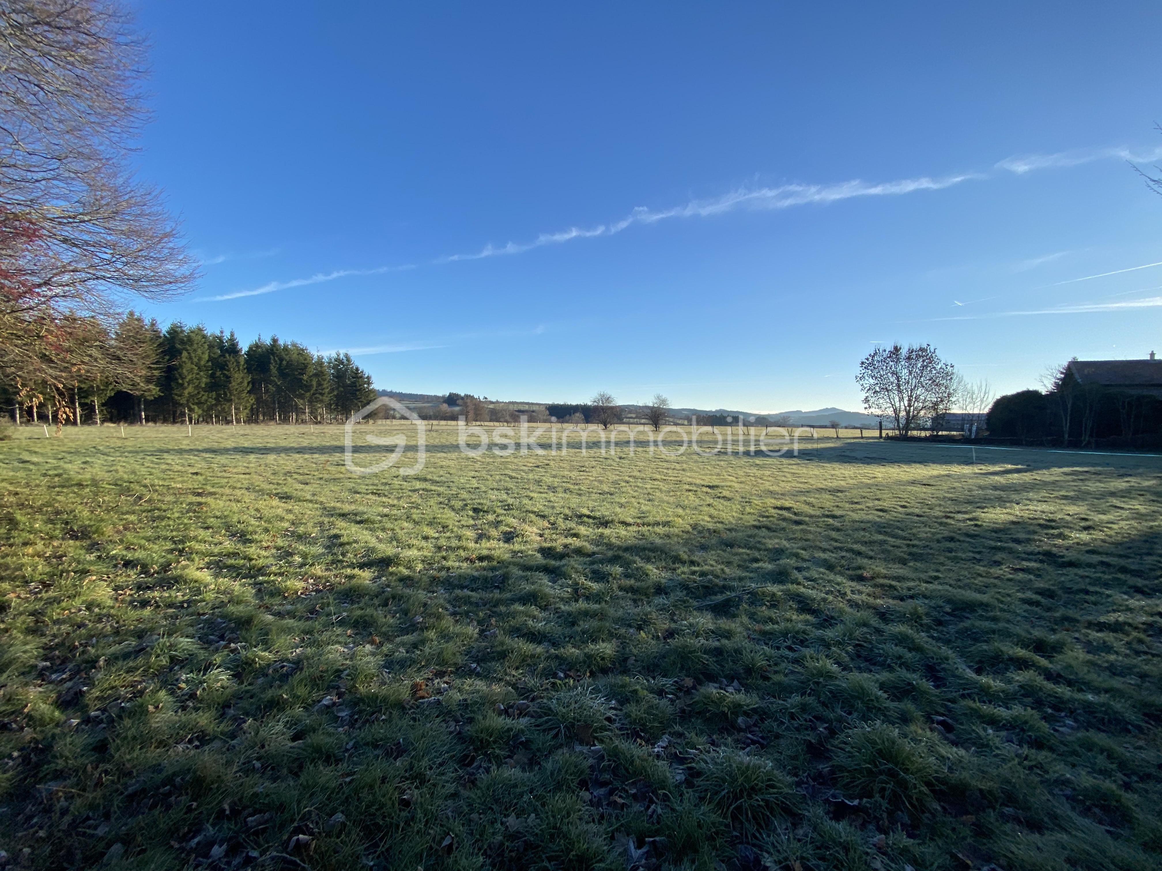 Terrain de 1 600 m² - IMG_4069.JPG