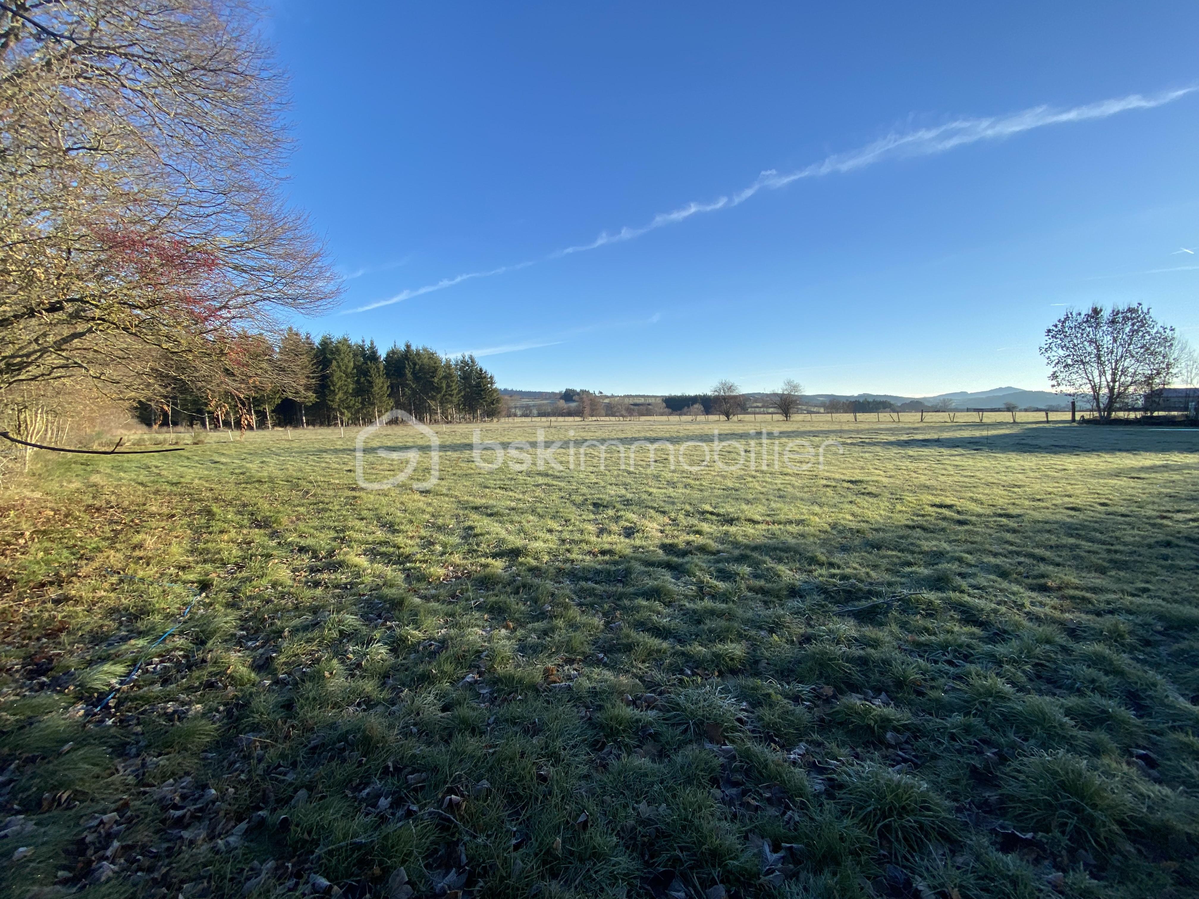 Terrain de 1 600 m² - IMG_4072.JPG