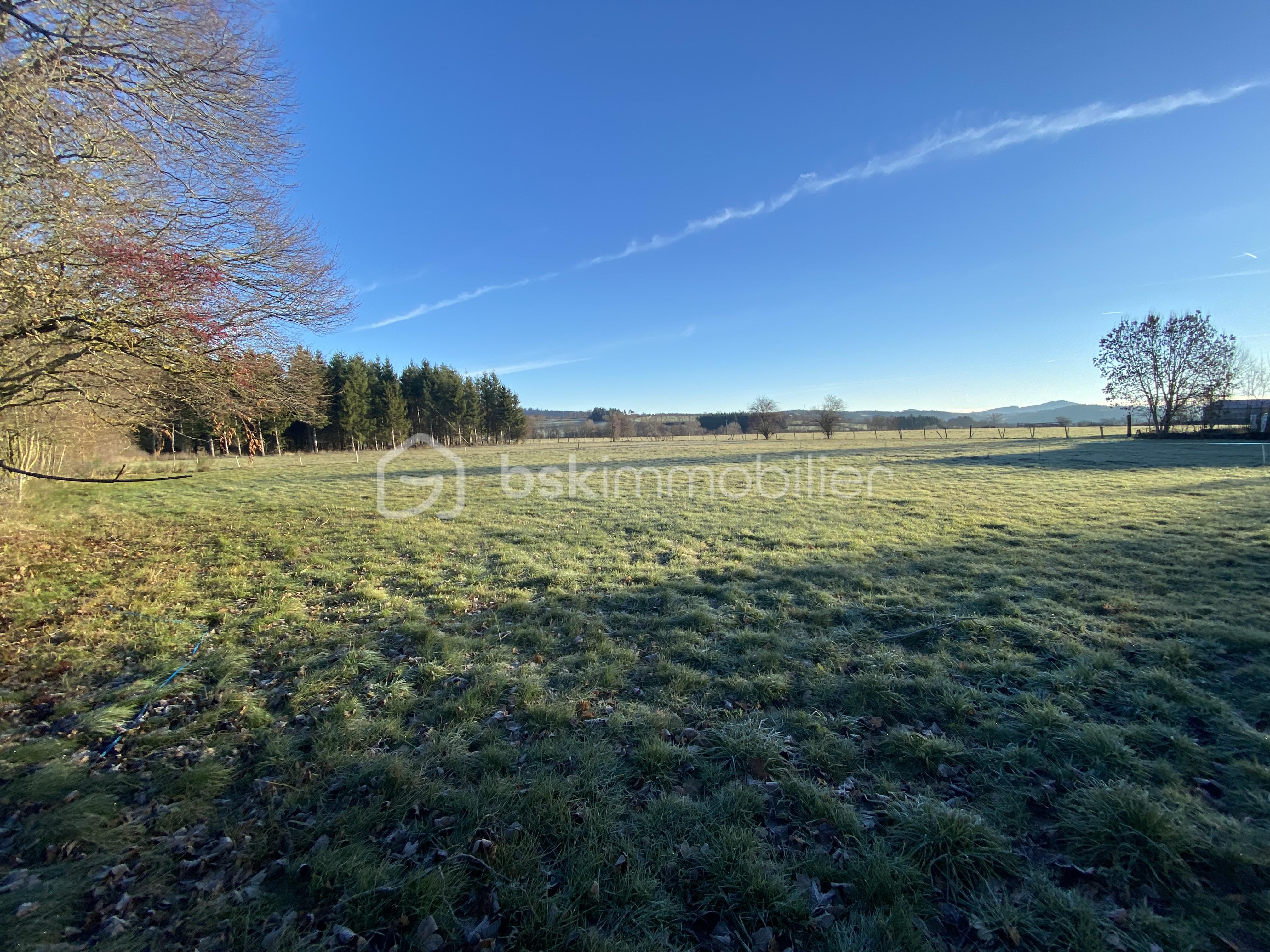 Terrain de 1 600 m² - IMG_4073.JPG