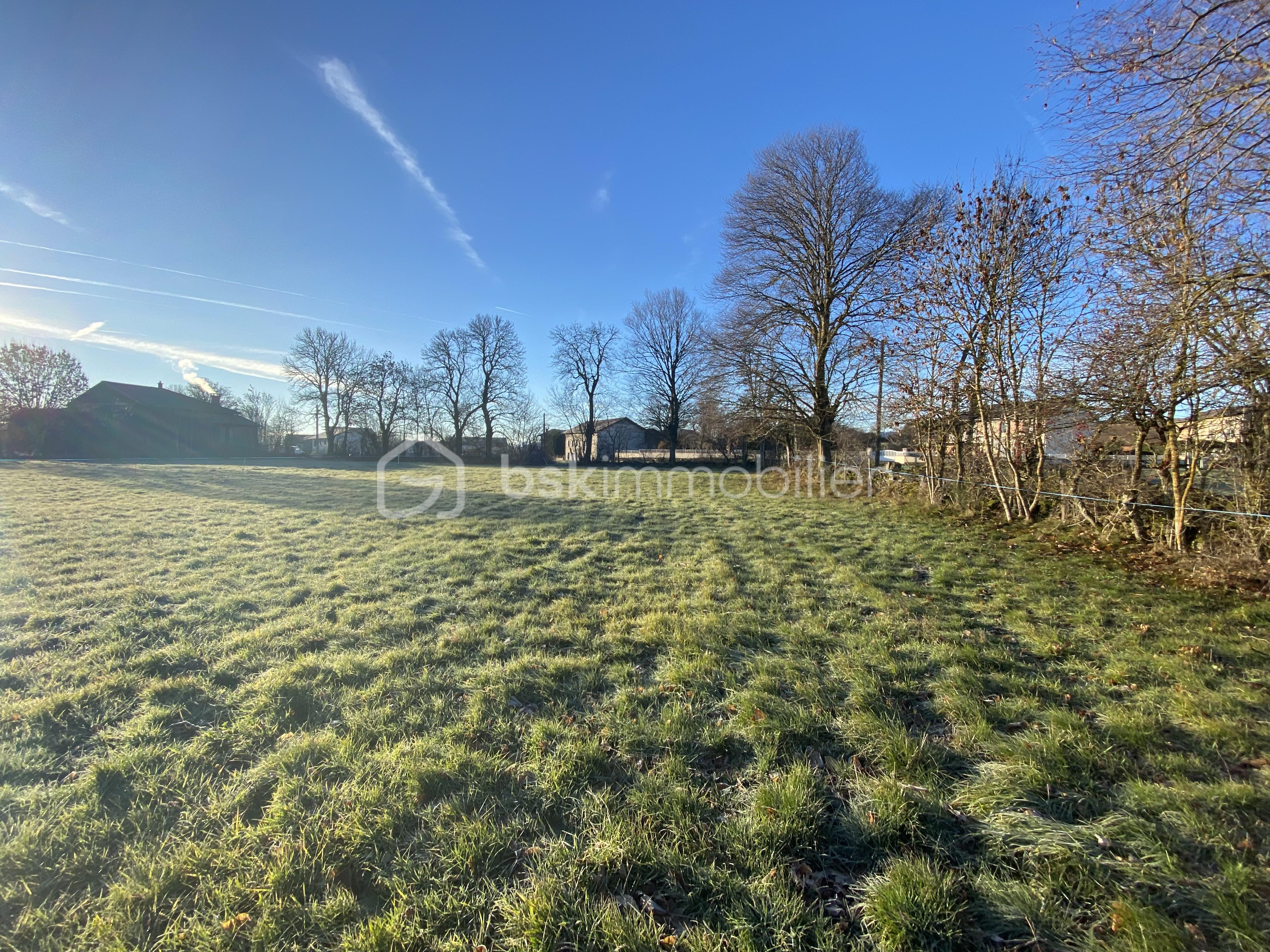 Terrain de 1 600 m² - IMG_4068.JPG