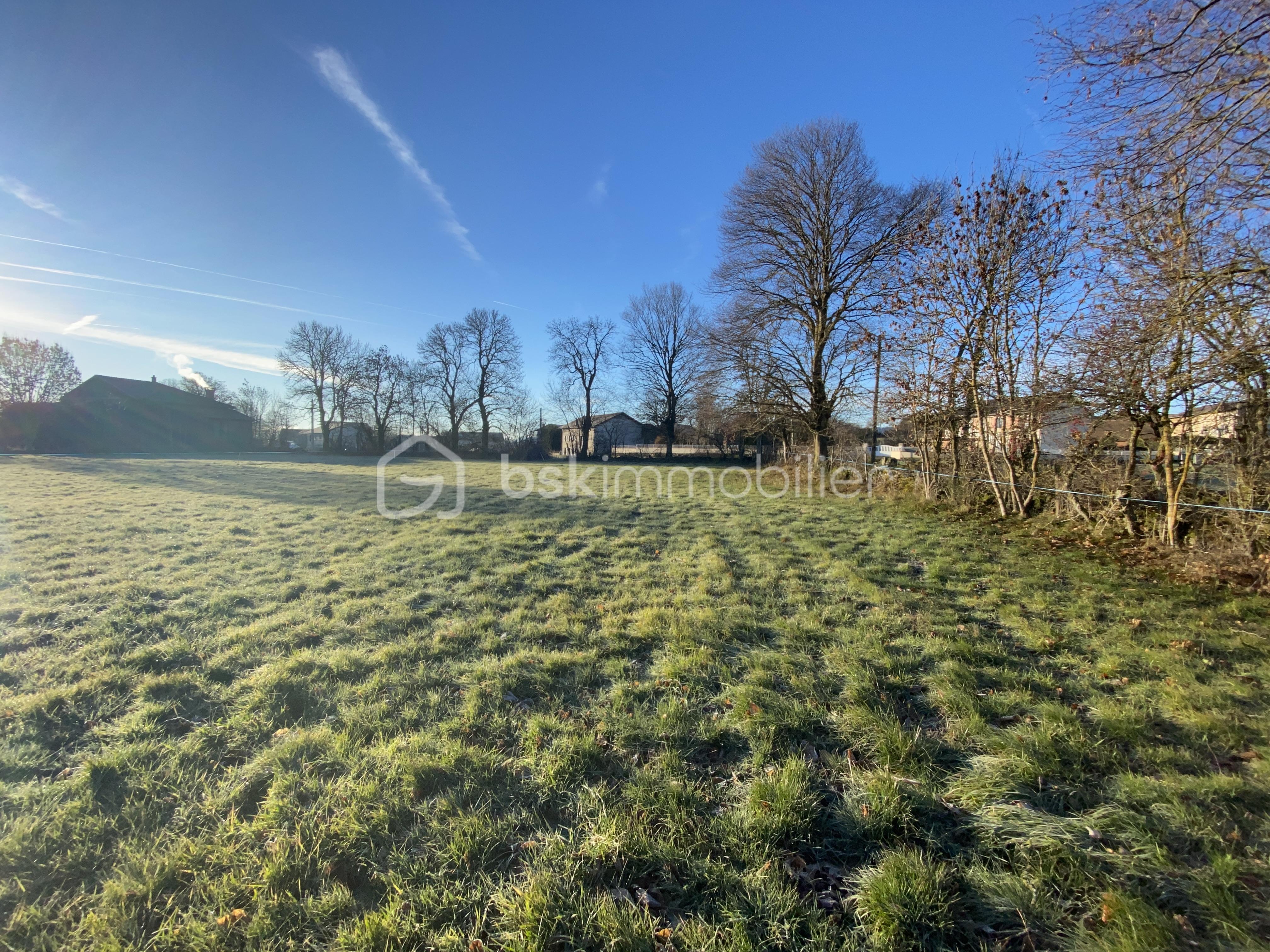 Terrain de 1 600 m² - IMG_4067.JPG