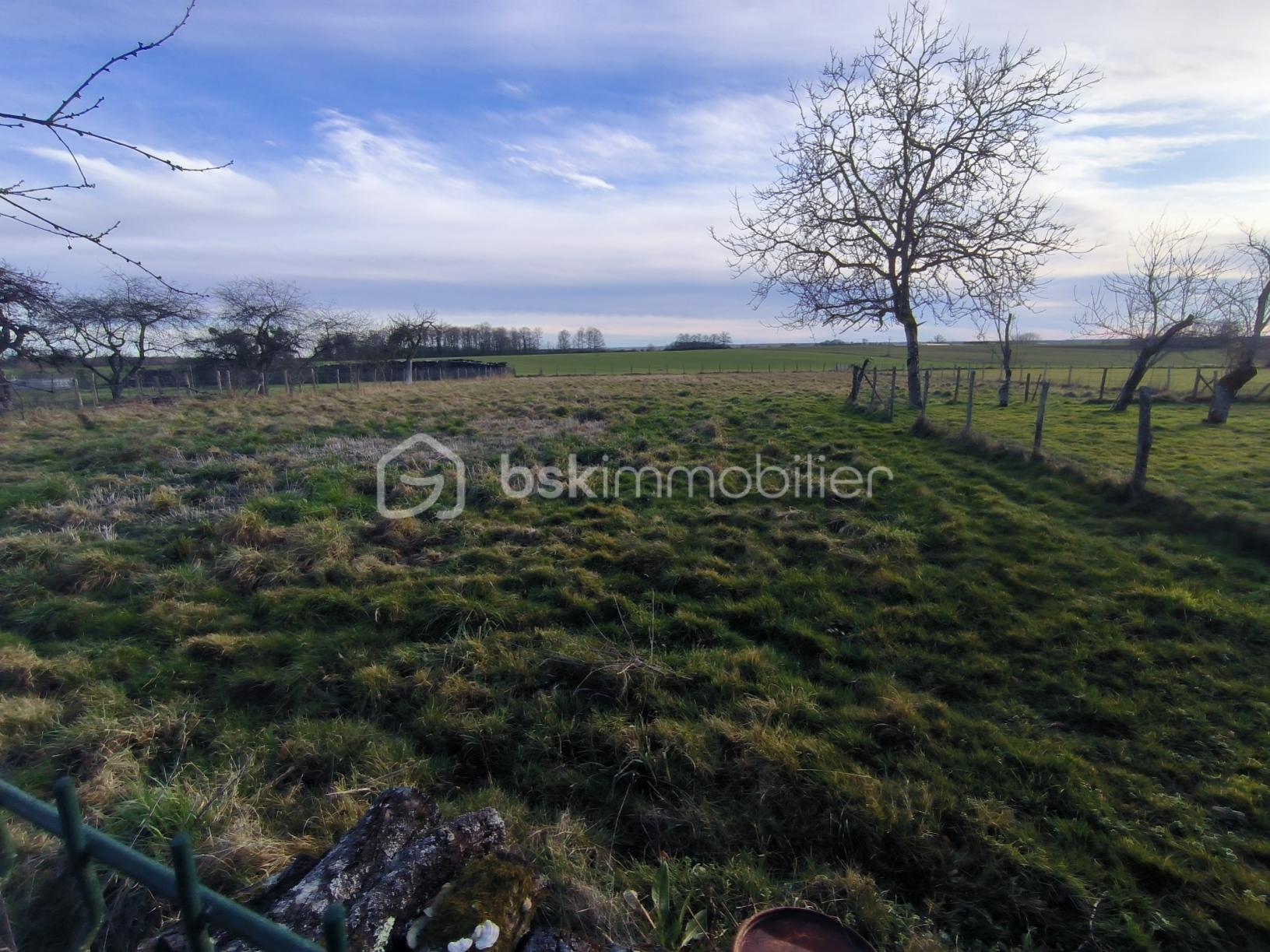 Maison de 125 m² - IMG_20260124_160350.jpg