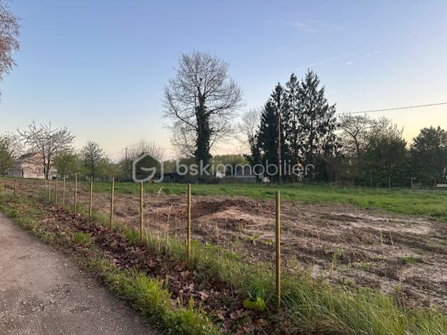 PHOTO SANS MAISON 06.04.2026.png