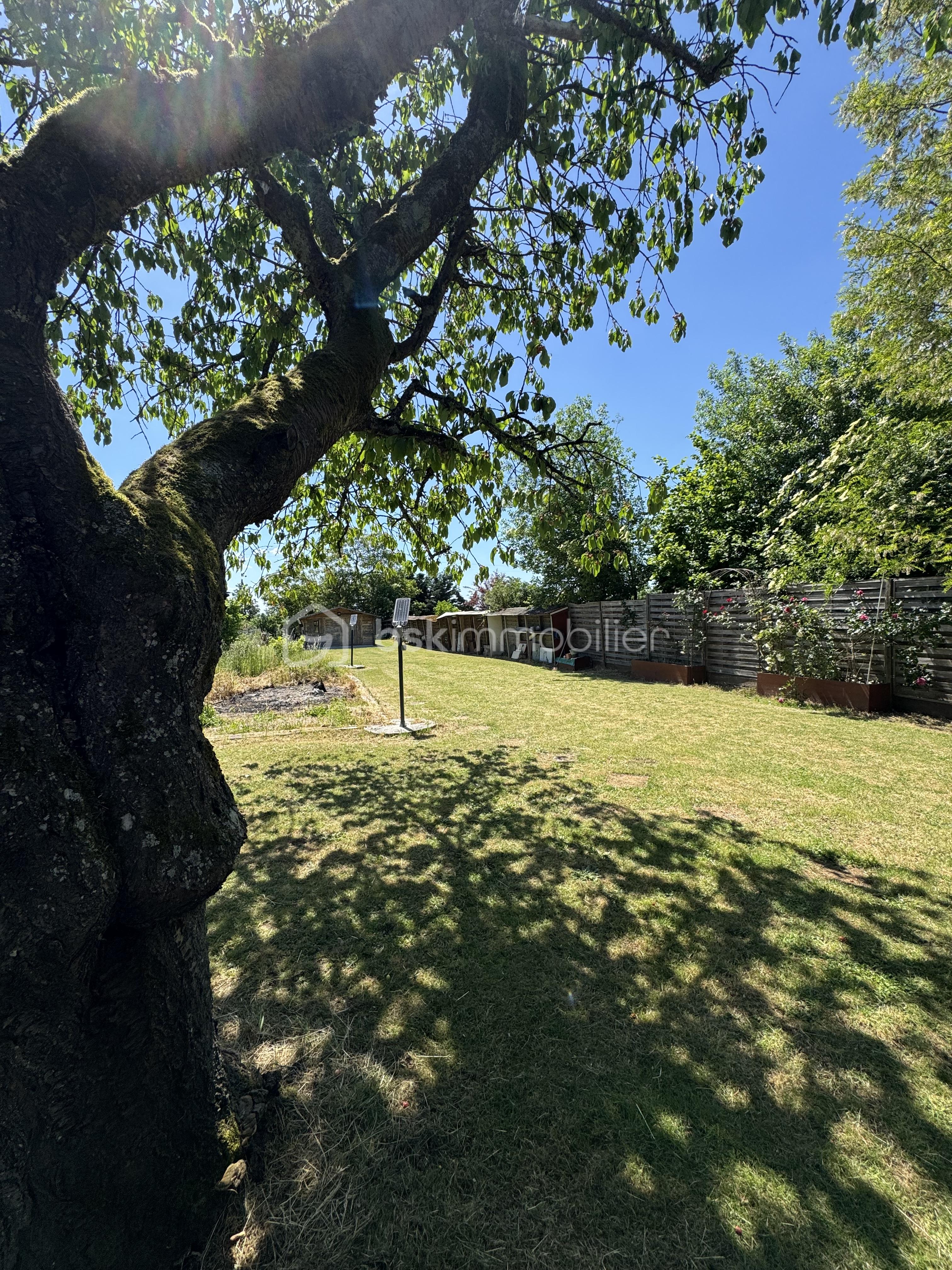 IMG_8003.jpeg