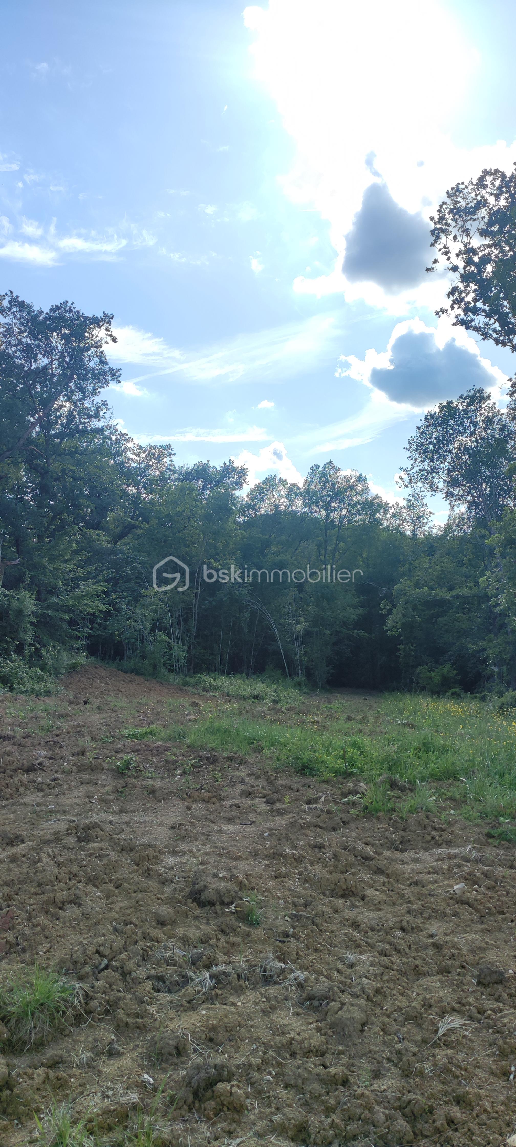 Terrain de 1 748 m² - 1747038857050.jpg