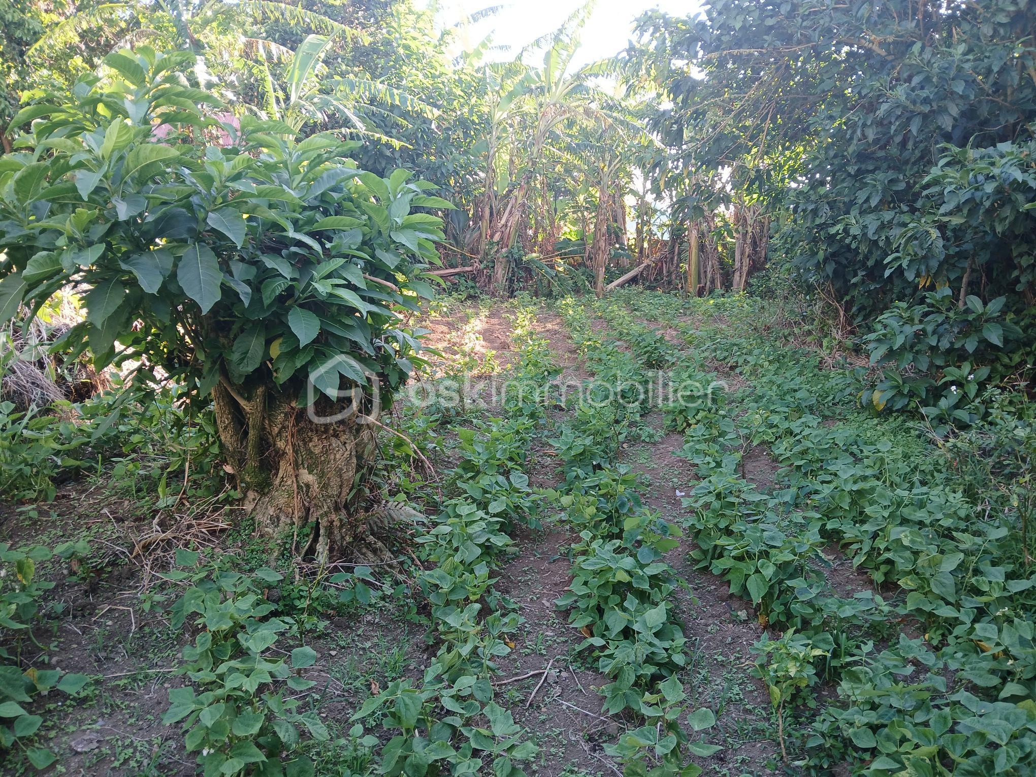 Maison de 150 m² - 1000007260.jpg