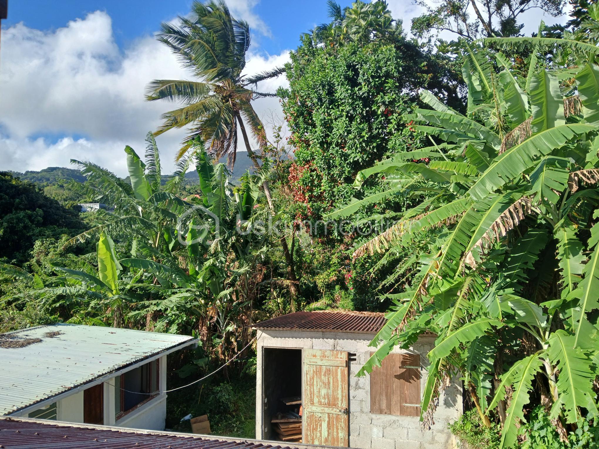 Maison de 150 m² - 1000007244.jpg