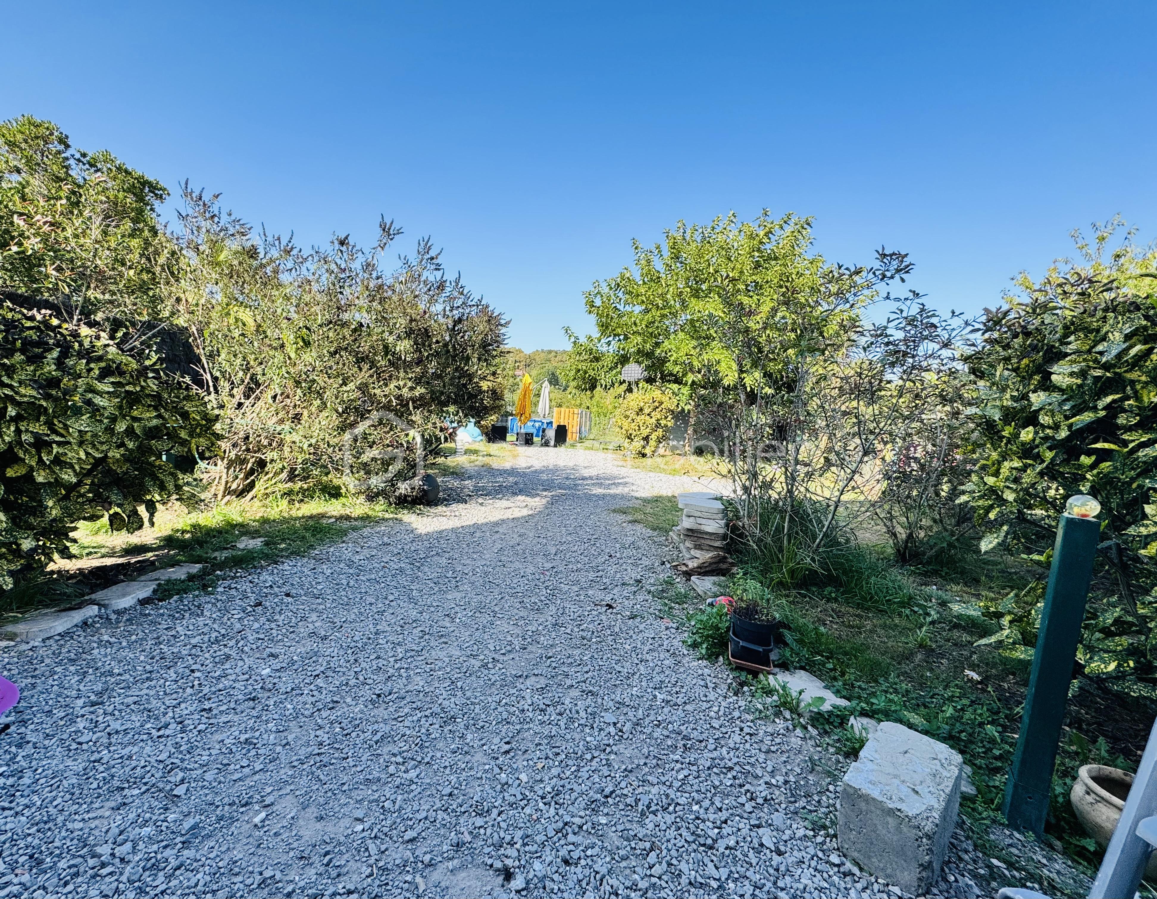 IMG_2969.jpeg