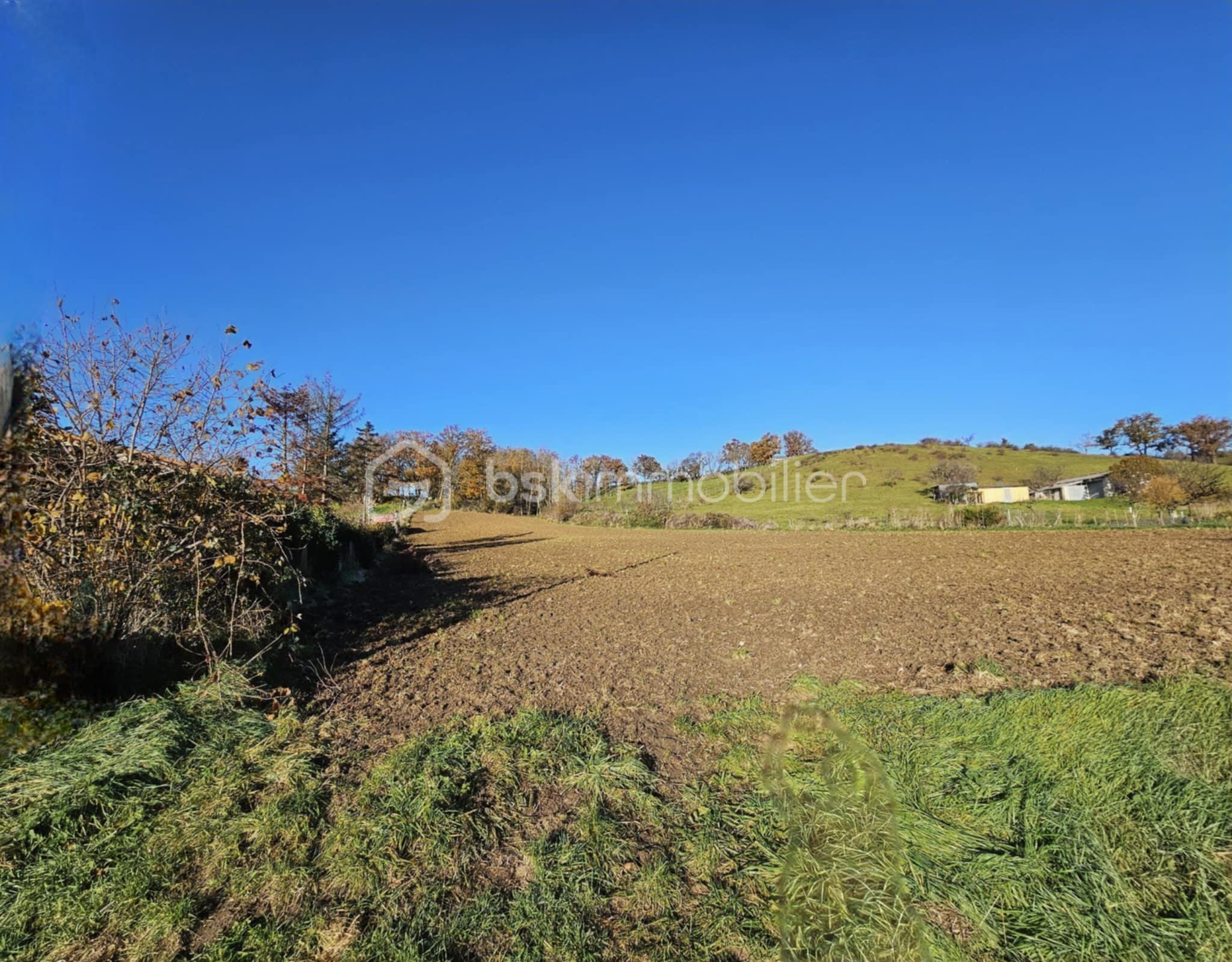 Terrain de 4 560 m² - dc234d3a-c364-4aa7-97ab-3820b6332ee4.jpeg
