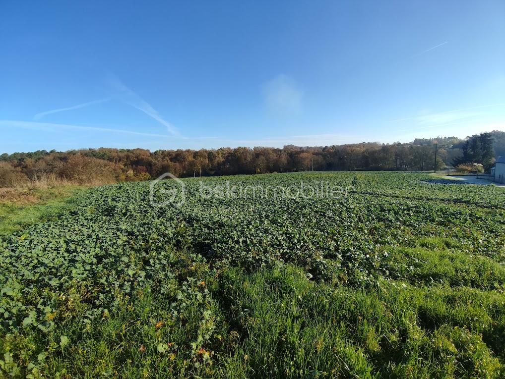 Corps de ferme de 137 m² - IMG_20251118_101827.jpg