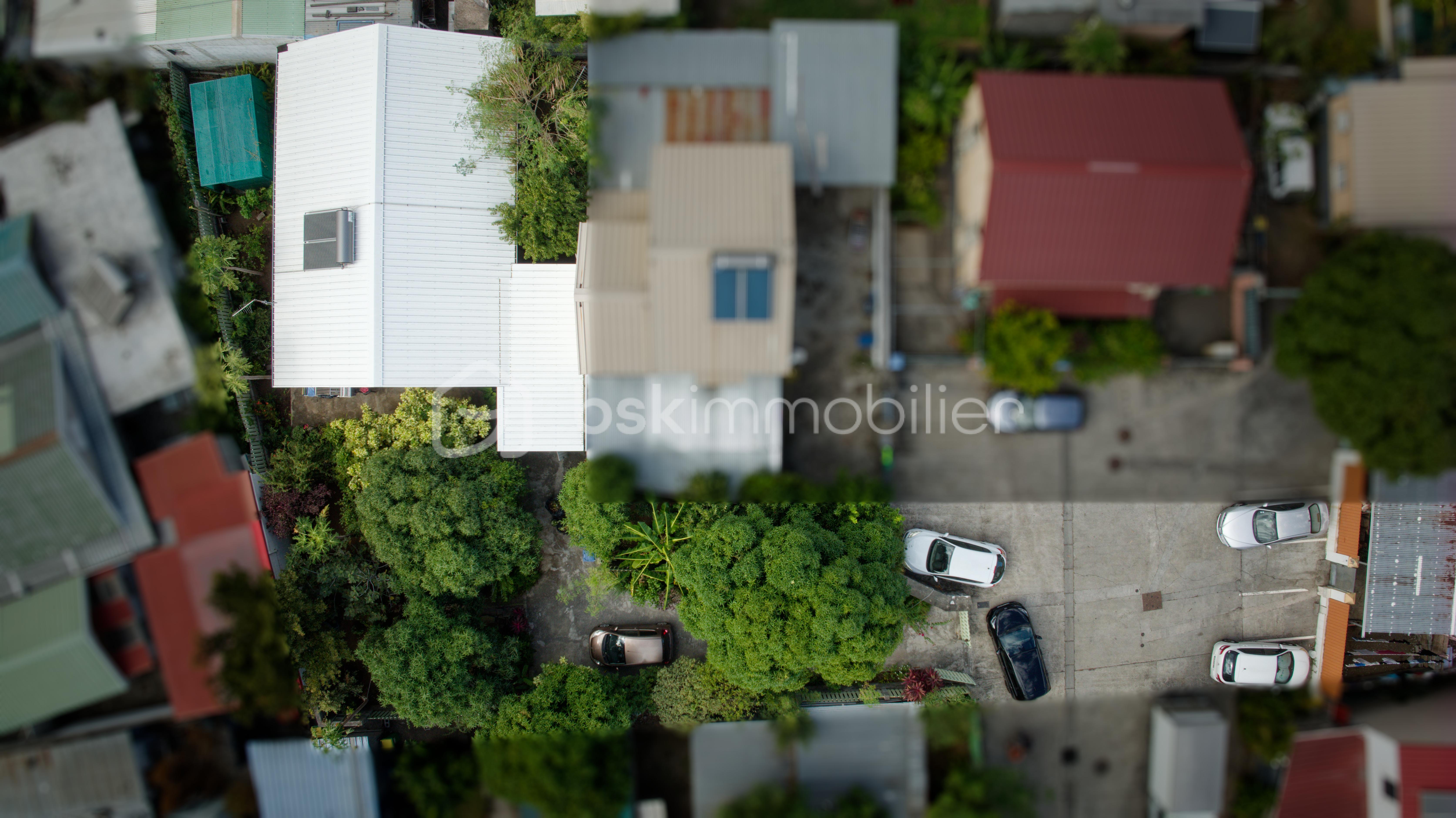 DJI_0536_DxO.jpg