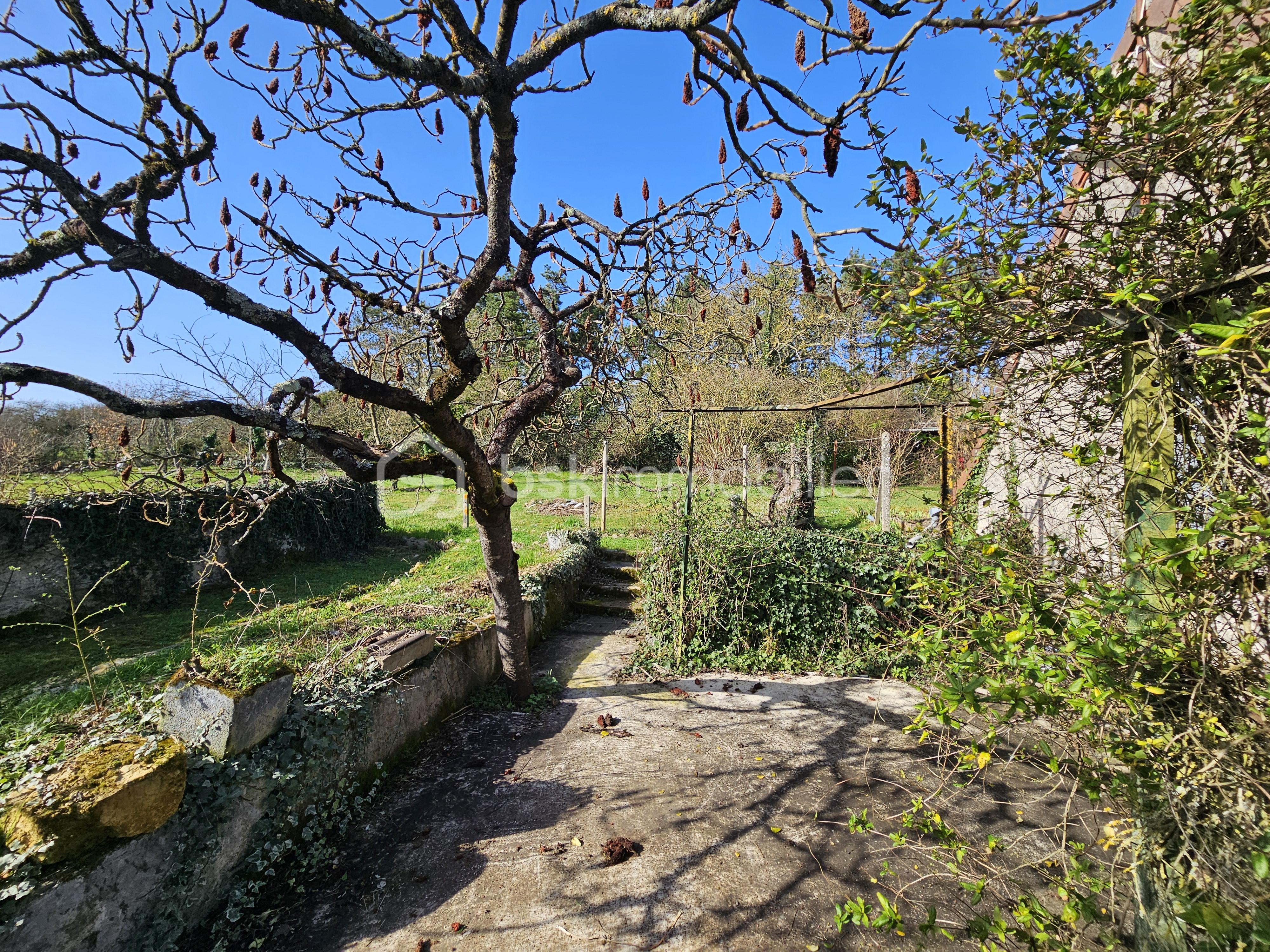 terrasse.jpg