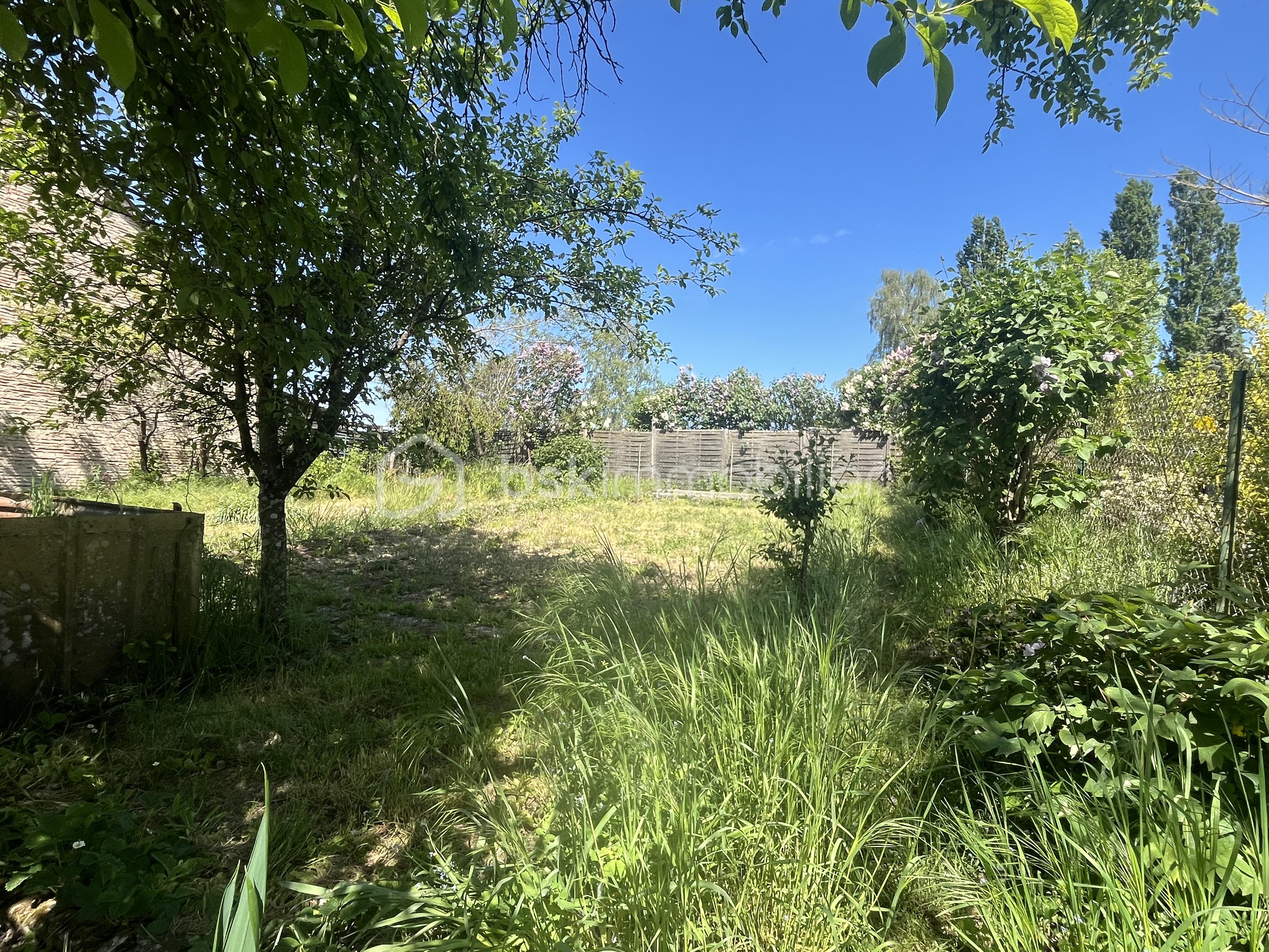 IMG_3831.jpeg
