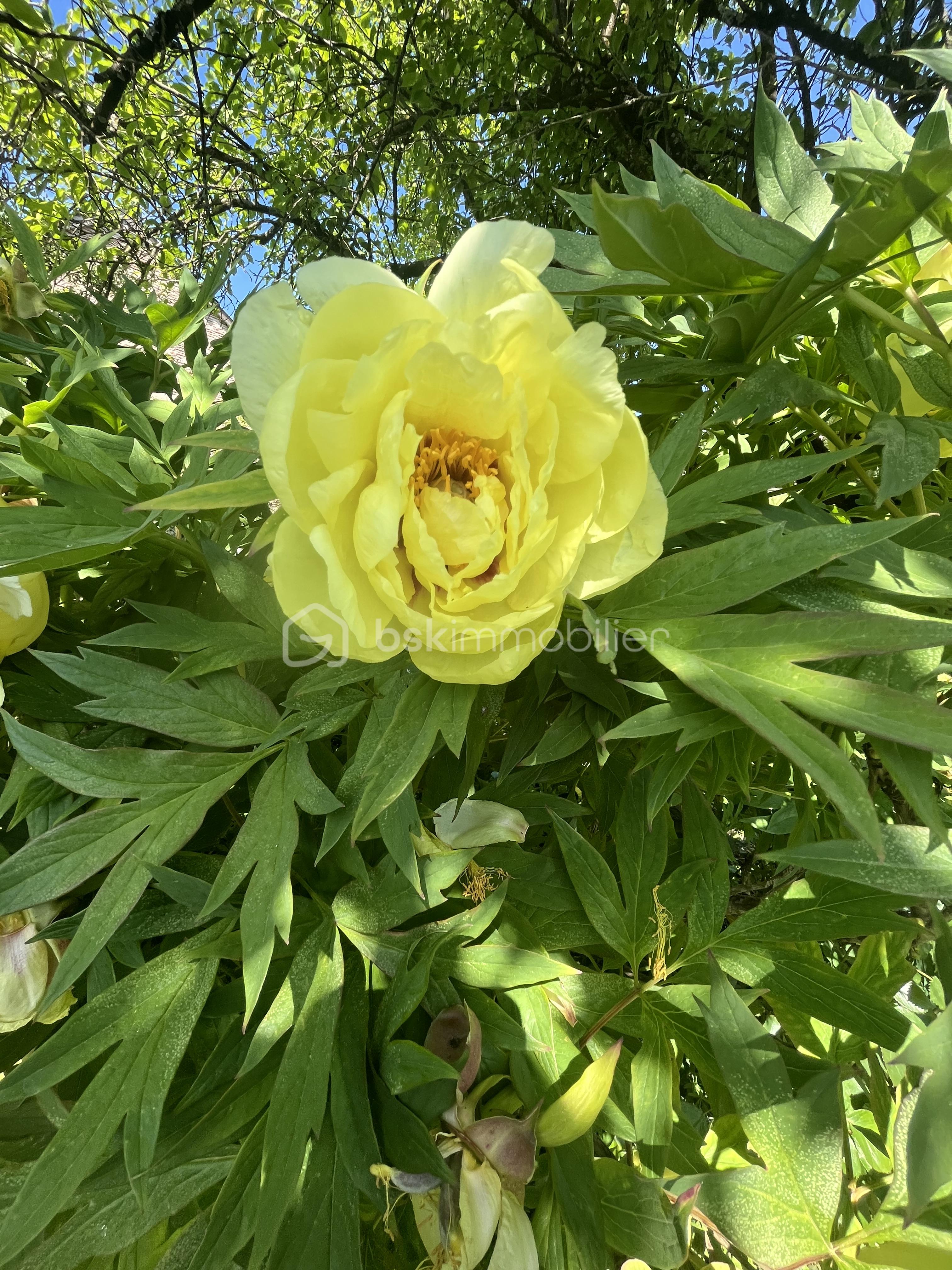 IMG_3832.jpeg