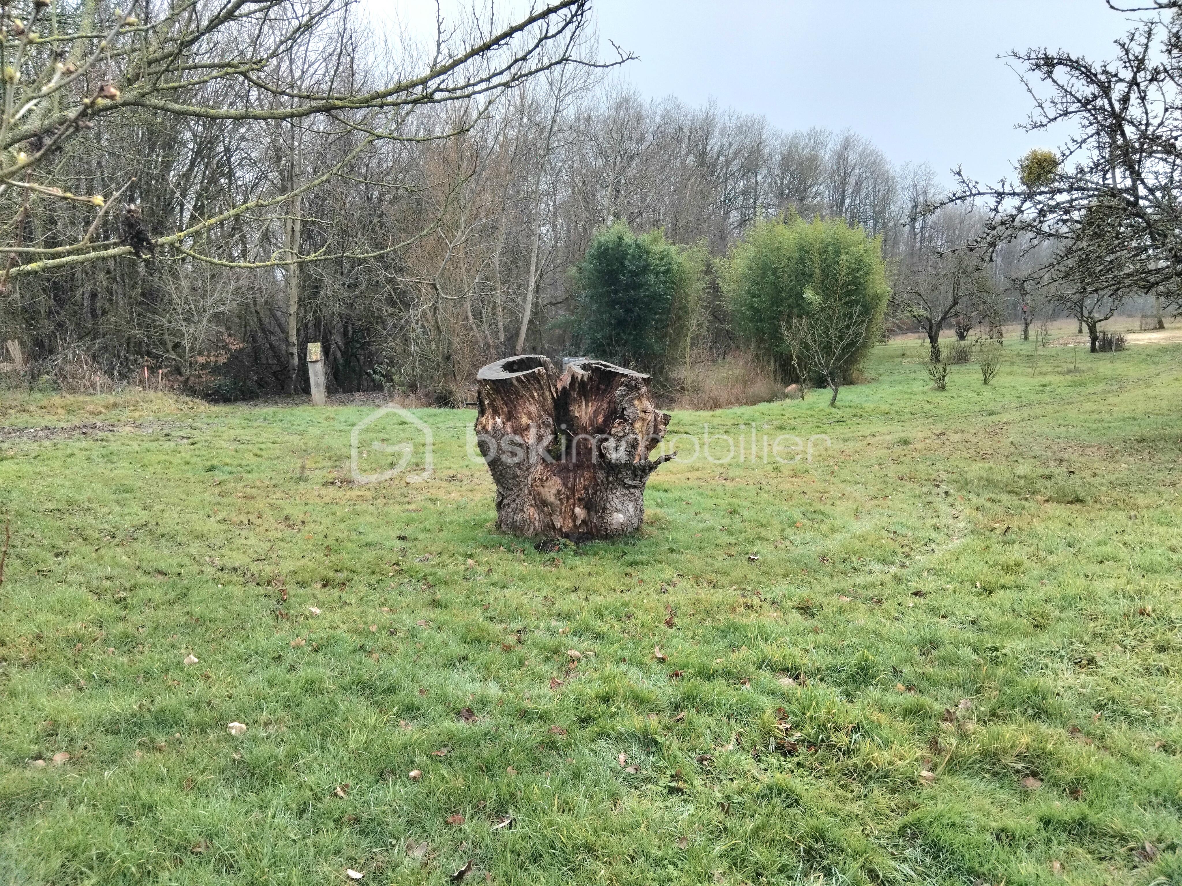 Corps de ferme de 168 m² - IMG_20260128_133454.jpg