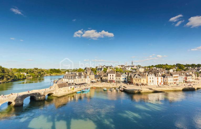 Local d'activités de 30 m² - st goustan.png