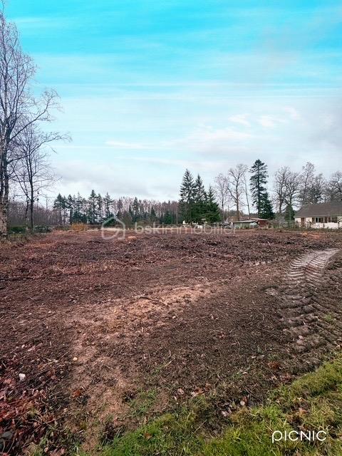 Lotissement de 1 968 m² - IMG_1988.jpeg