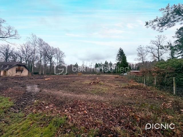 Lotissement de 1 968 m² - IMG_1989.jpeg