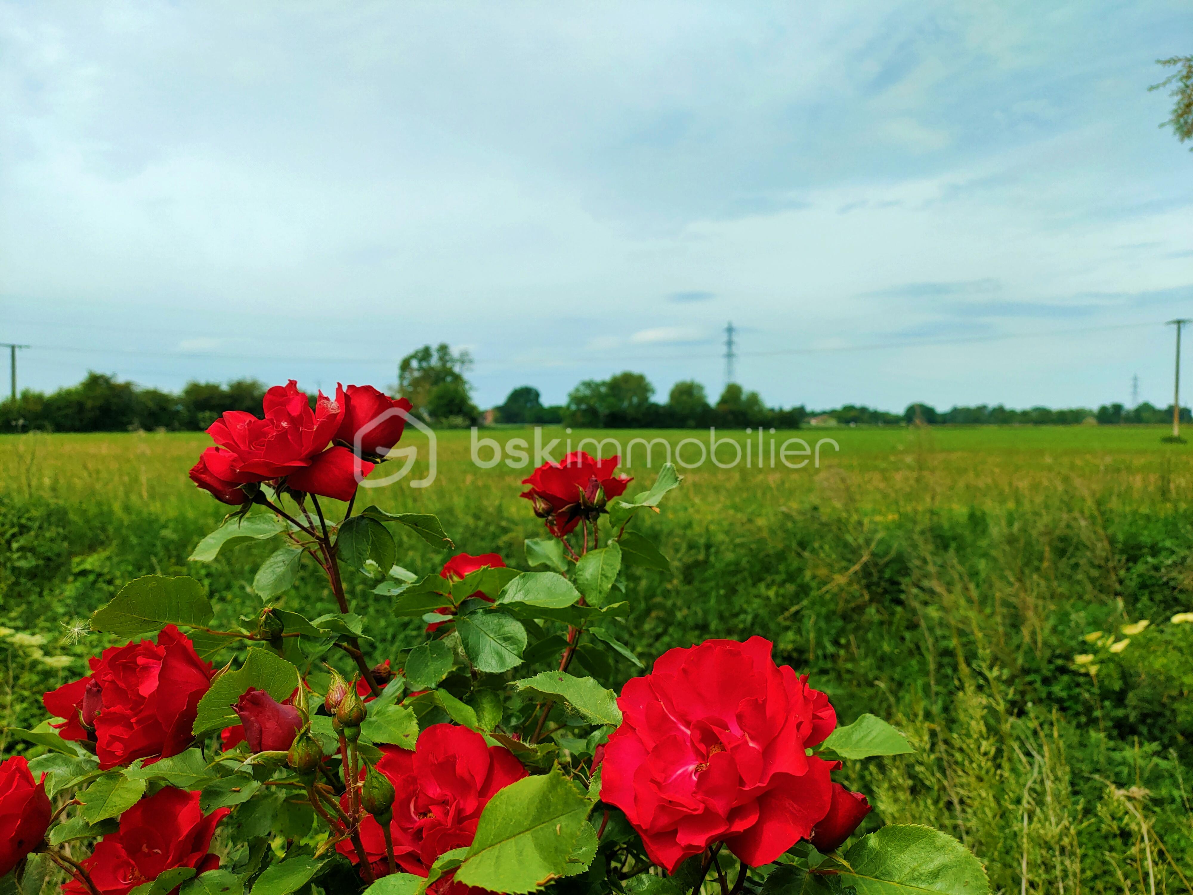 IMG_20250521_201135.jpg