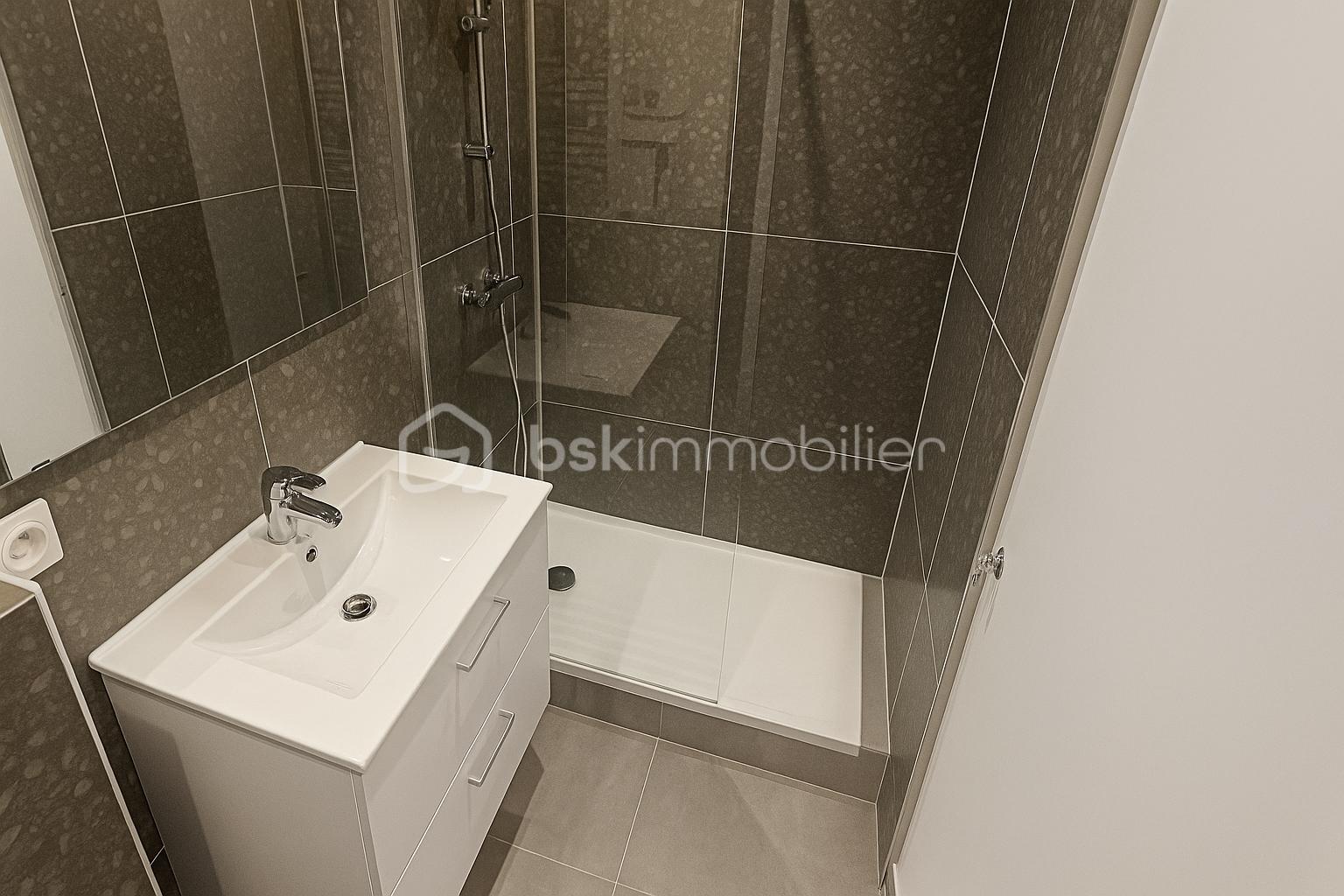 Appartement de 23 m² - sde2.png