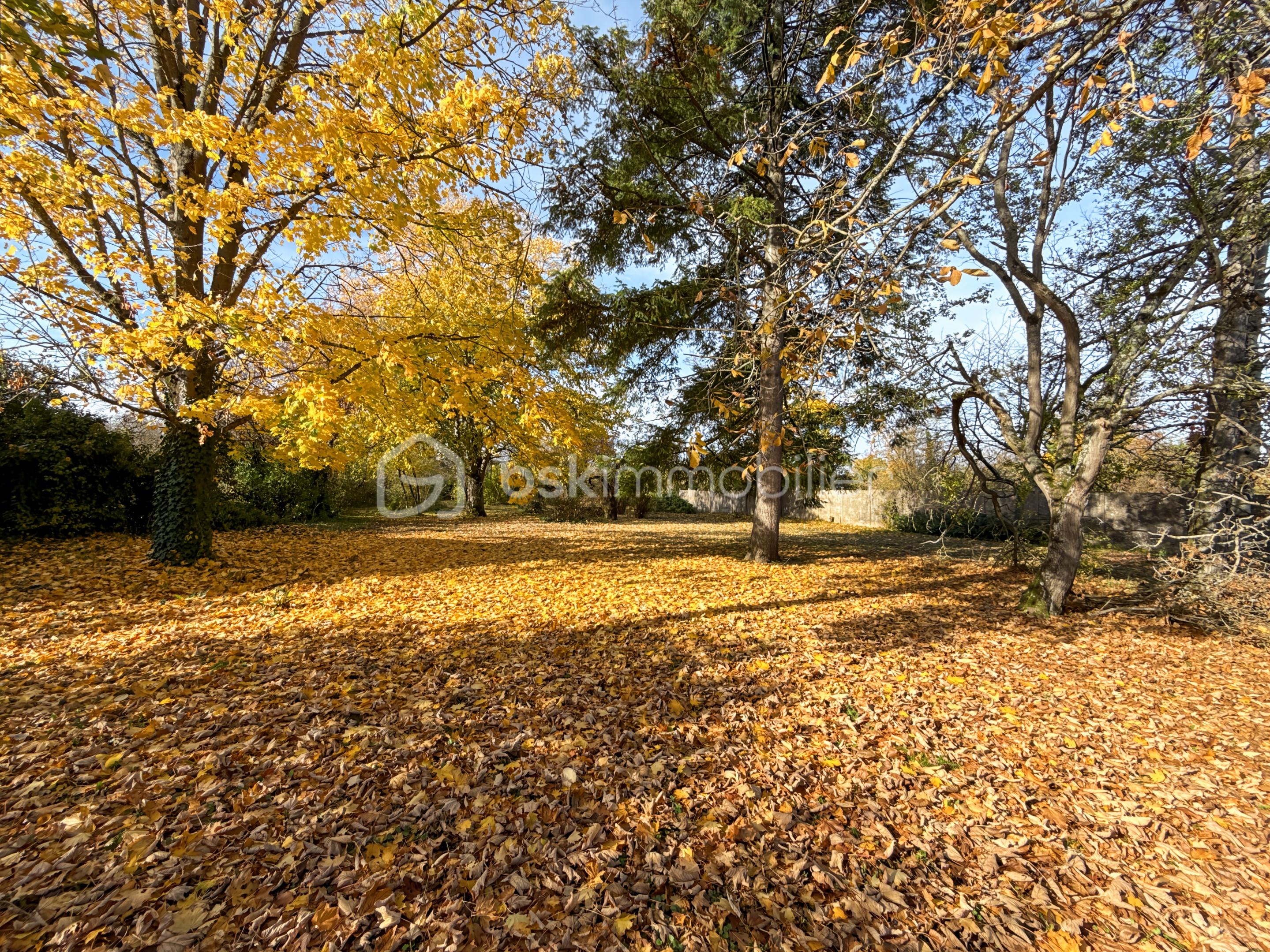 Maison de 124 m² - Photo_51_0abc.jpg