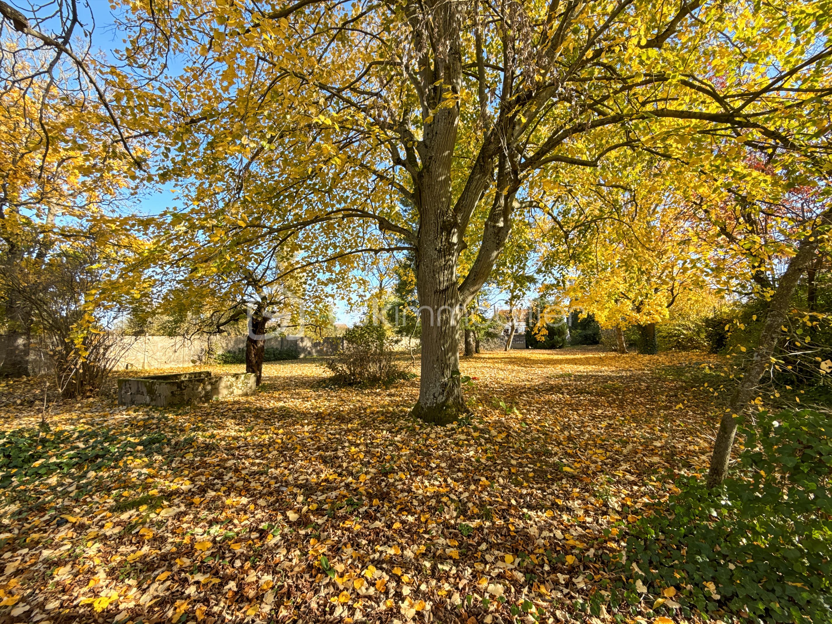 Maison de 124 m² - Photo_49_b948.jpg