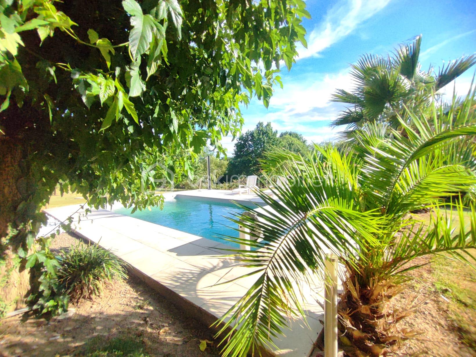 piscine1.jpeg