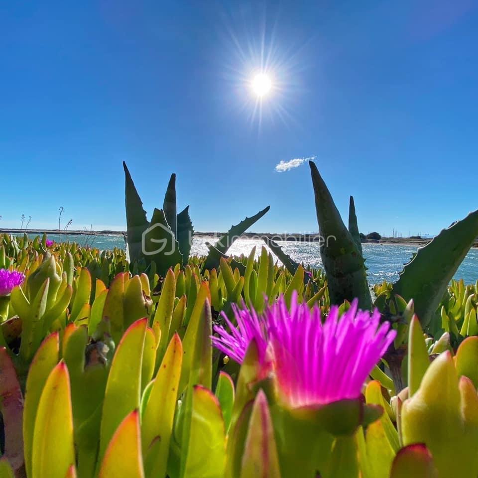 Appartement de 37 m² - IMG_5572.JPG