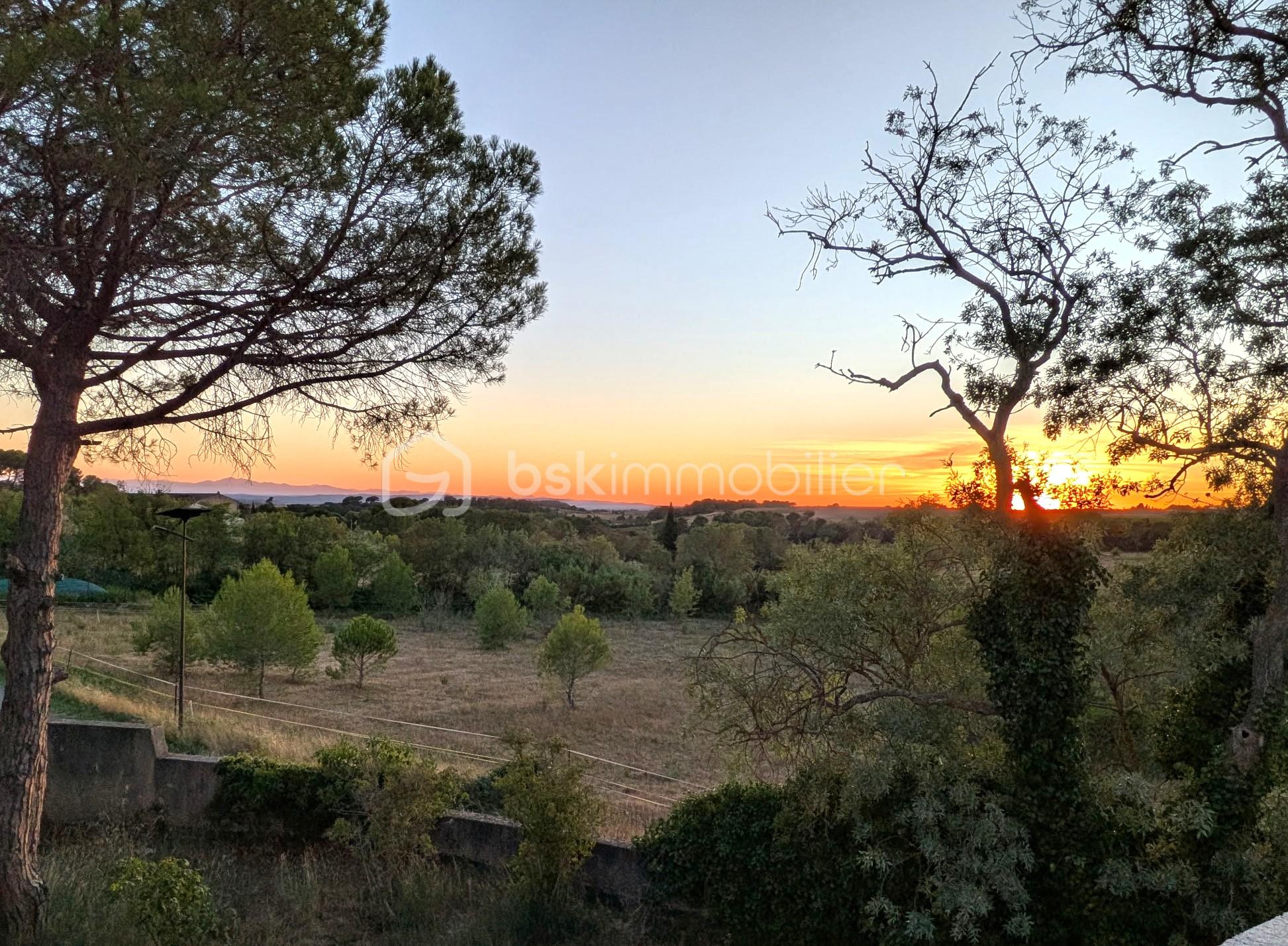coucher de soleil.jpg