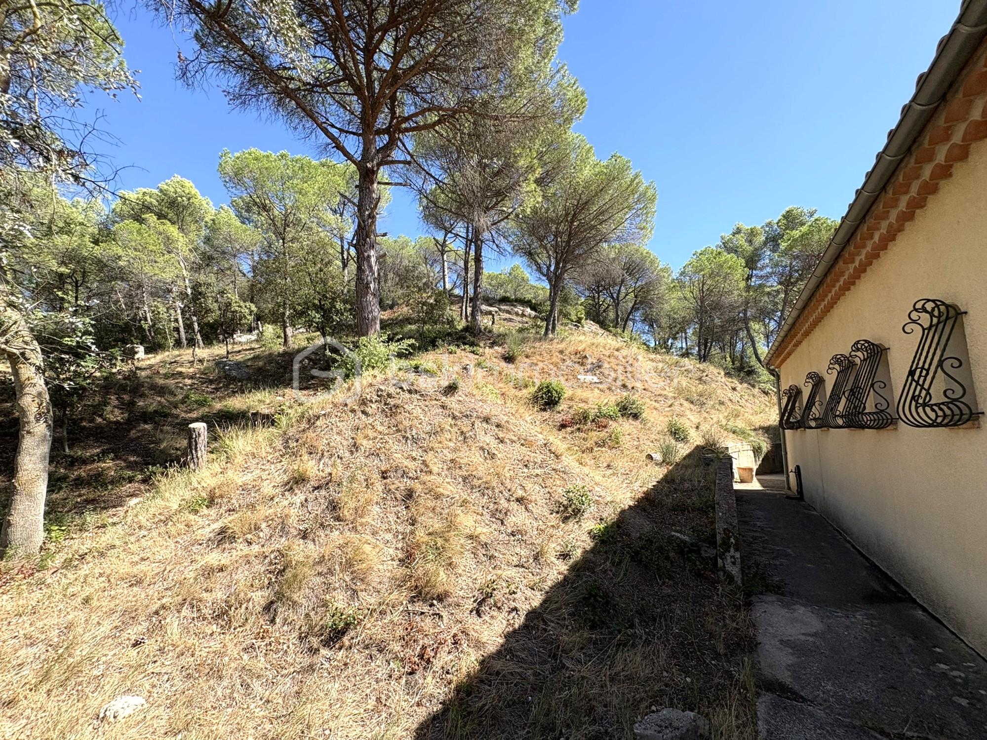 jardin arriere.jpeg