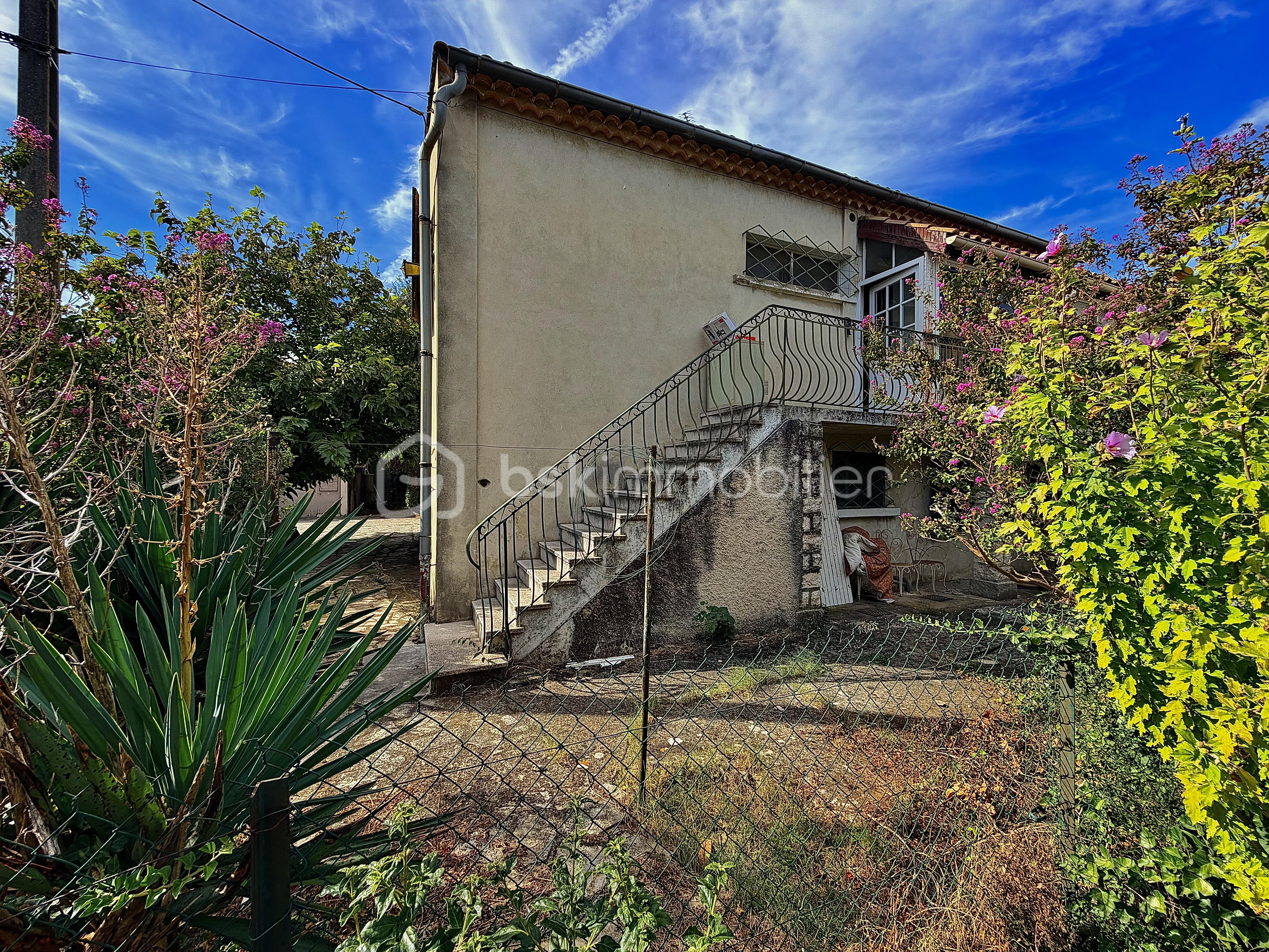 IMG_2308.jpeg