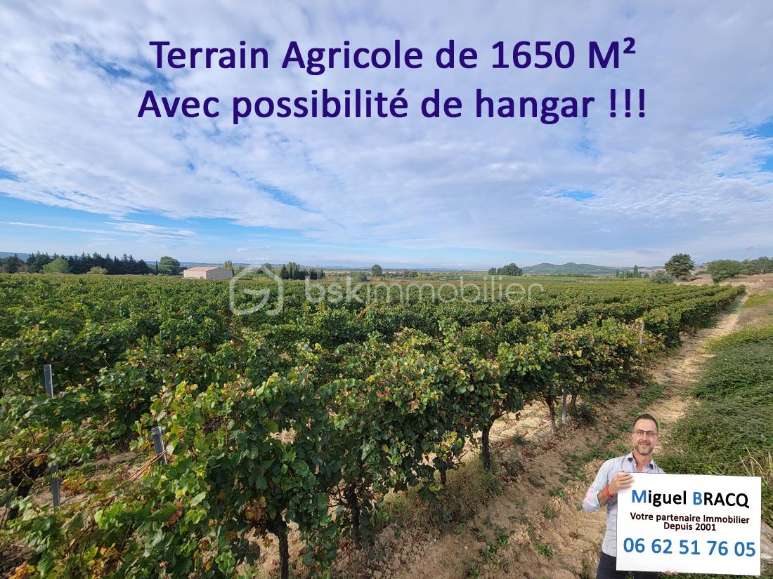 Terrain agricole de 1 650 m² - 02.jpg