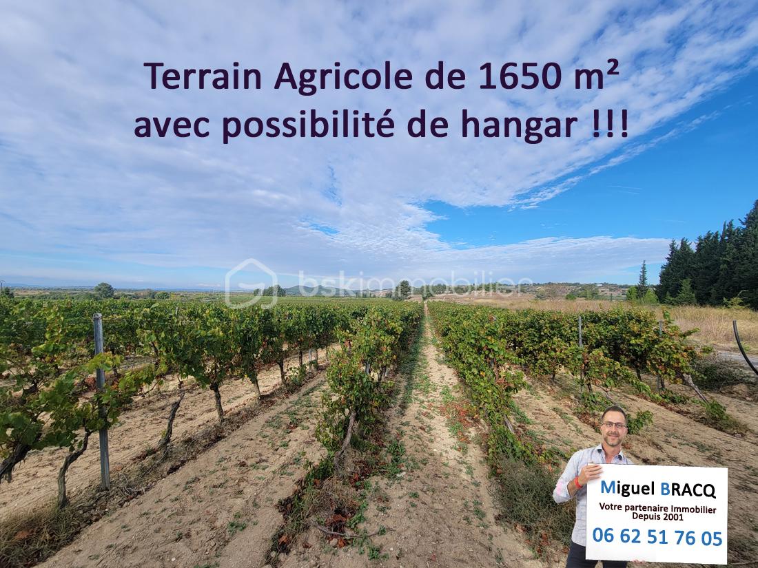 Terrain agricole de 1 650 m² - 01.jpg