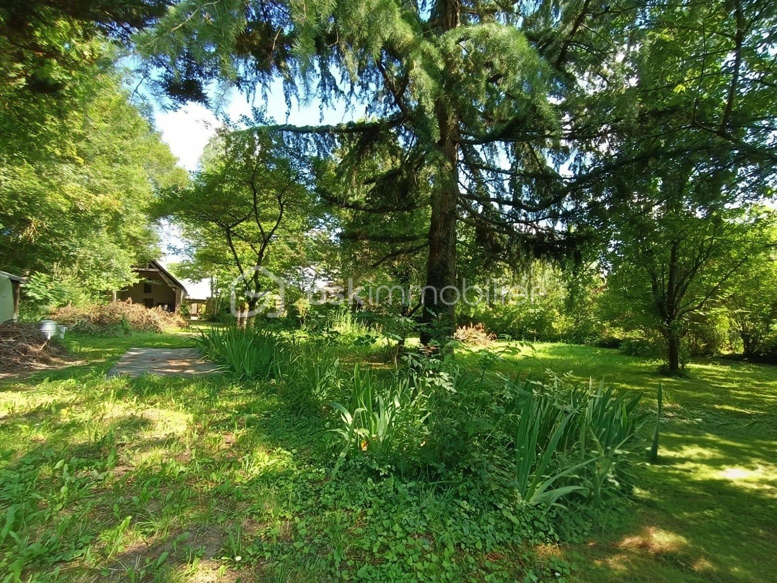 WhatsApp Image 2026-03-05 at 22.10.38.jpeg