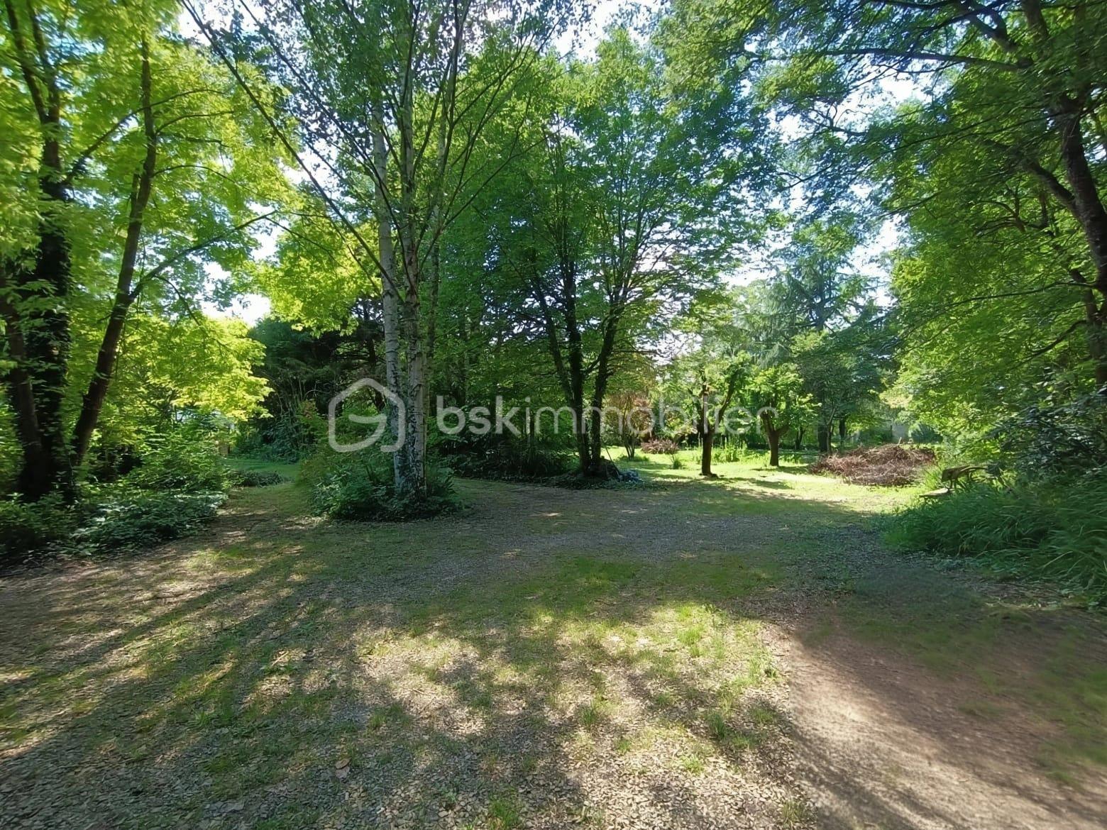 WhatsApp Image 2026-03-05 at 22.10.38 (4).jpeg