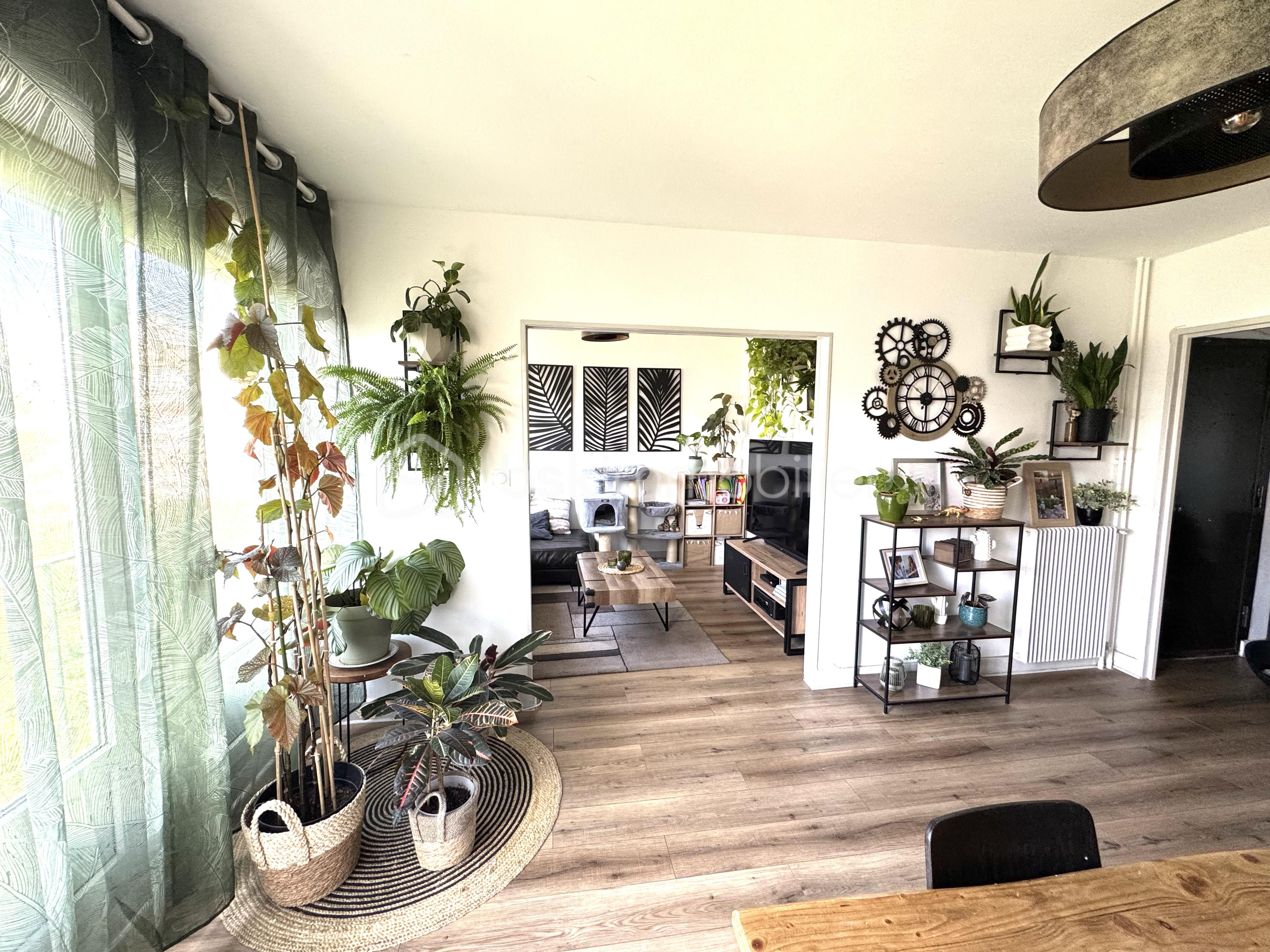 Appartement de 74 m² - tempImage2wTdtJ.png