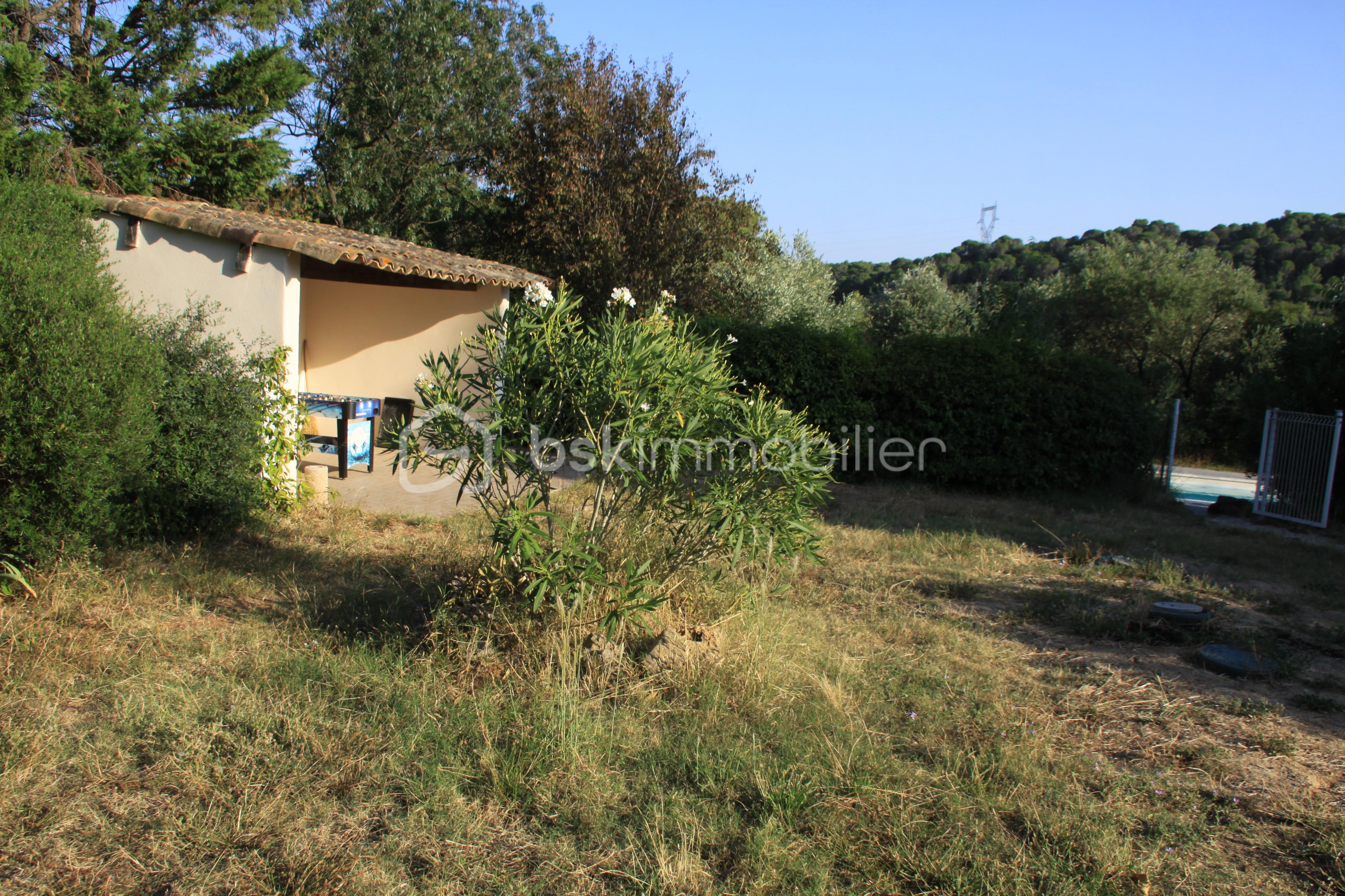 Domaine de 350 m² - IMG_9471.JPG