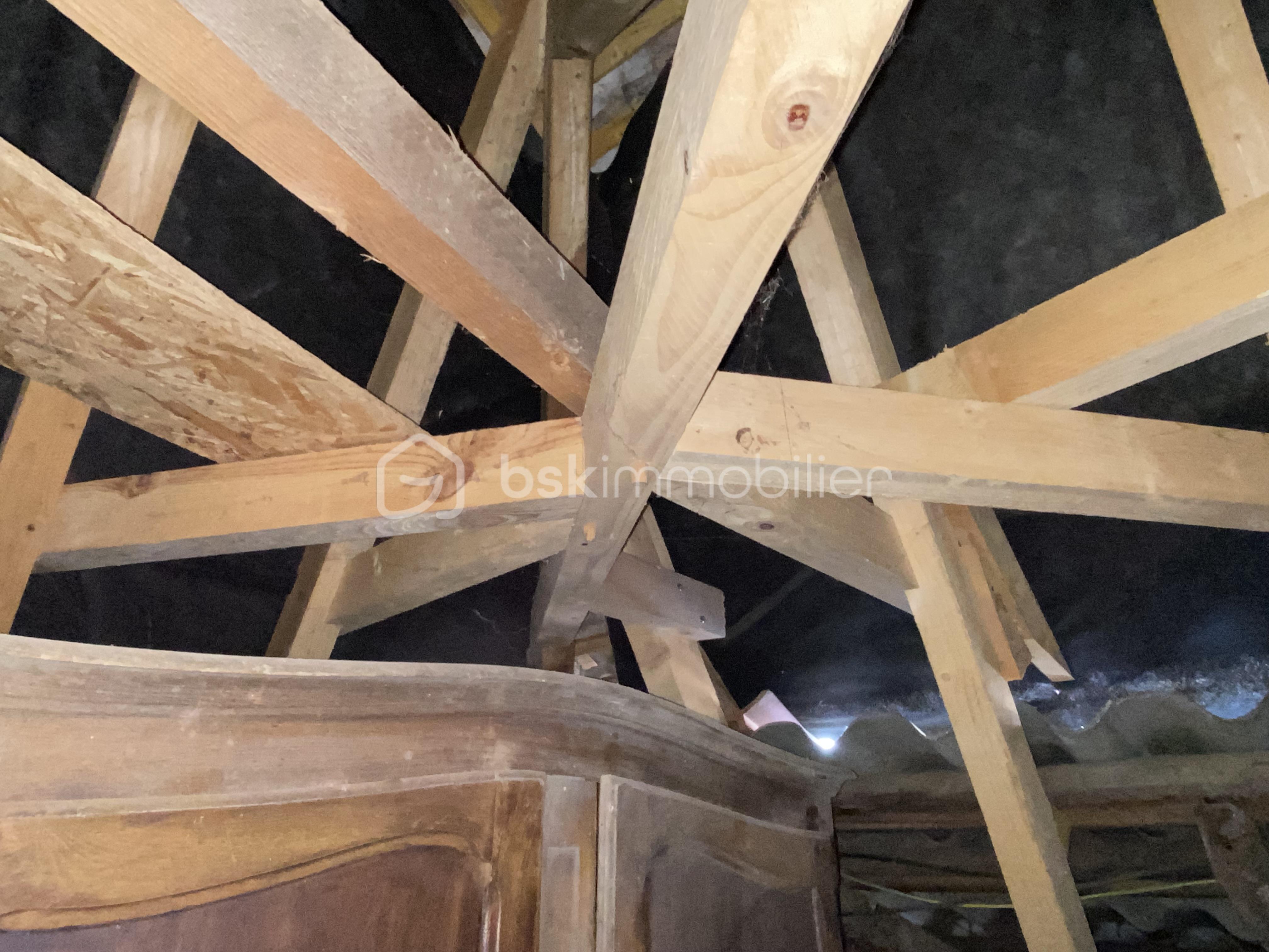 Demeure de 295 m² - IMG_1158.JPG