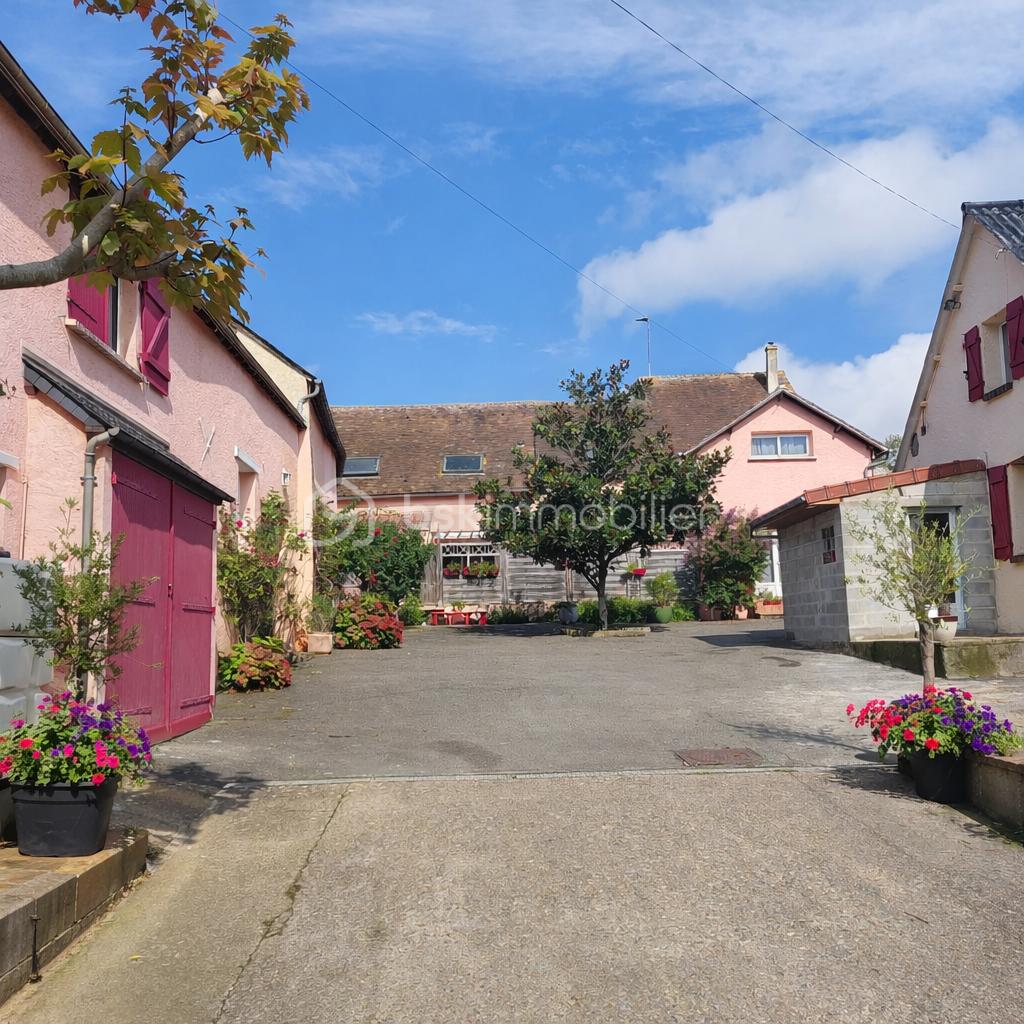 Cour intérieure ensoleillée et fleurie.png