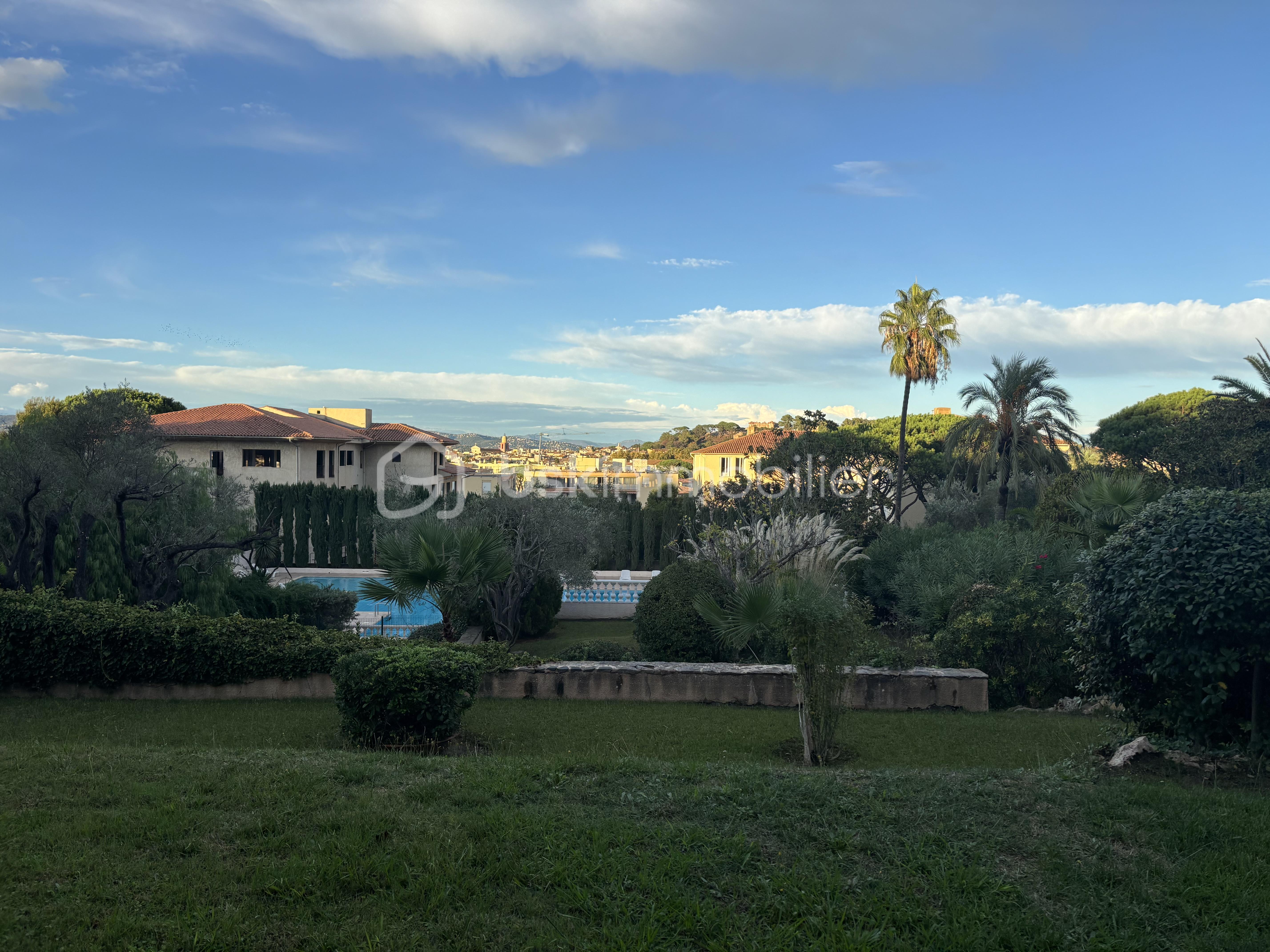IMG_8495.jpeg
