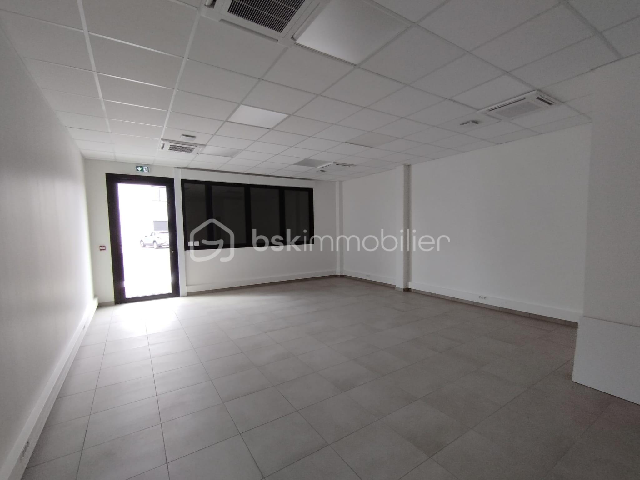 WhatsApp Image 2026-03-26 at 16.55.57 (1).jpeg